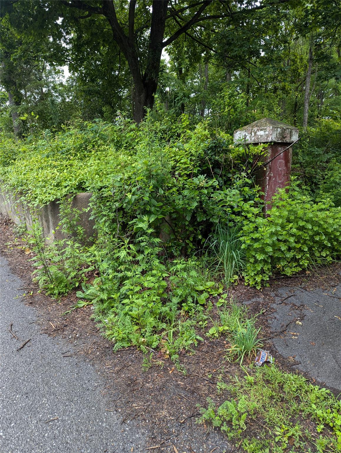 CAUTERSKILL, Catskill, NY 12414