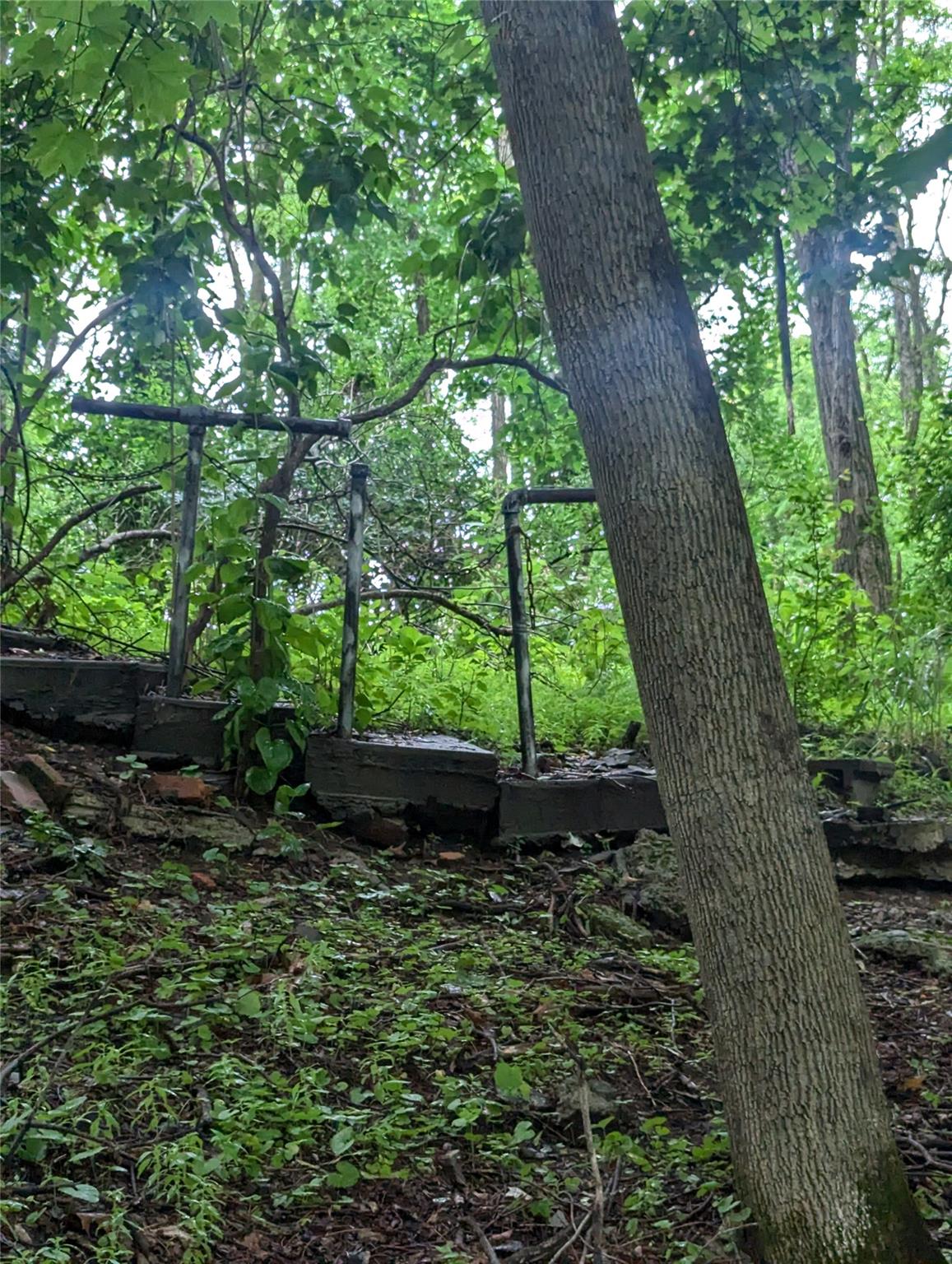 CAUTERSKILL, Catskill, NY 12414