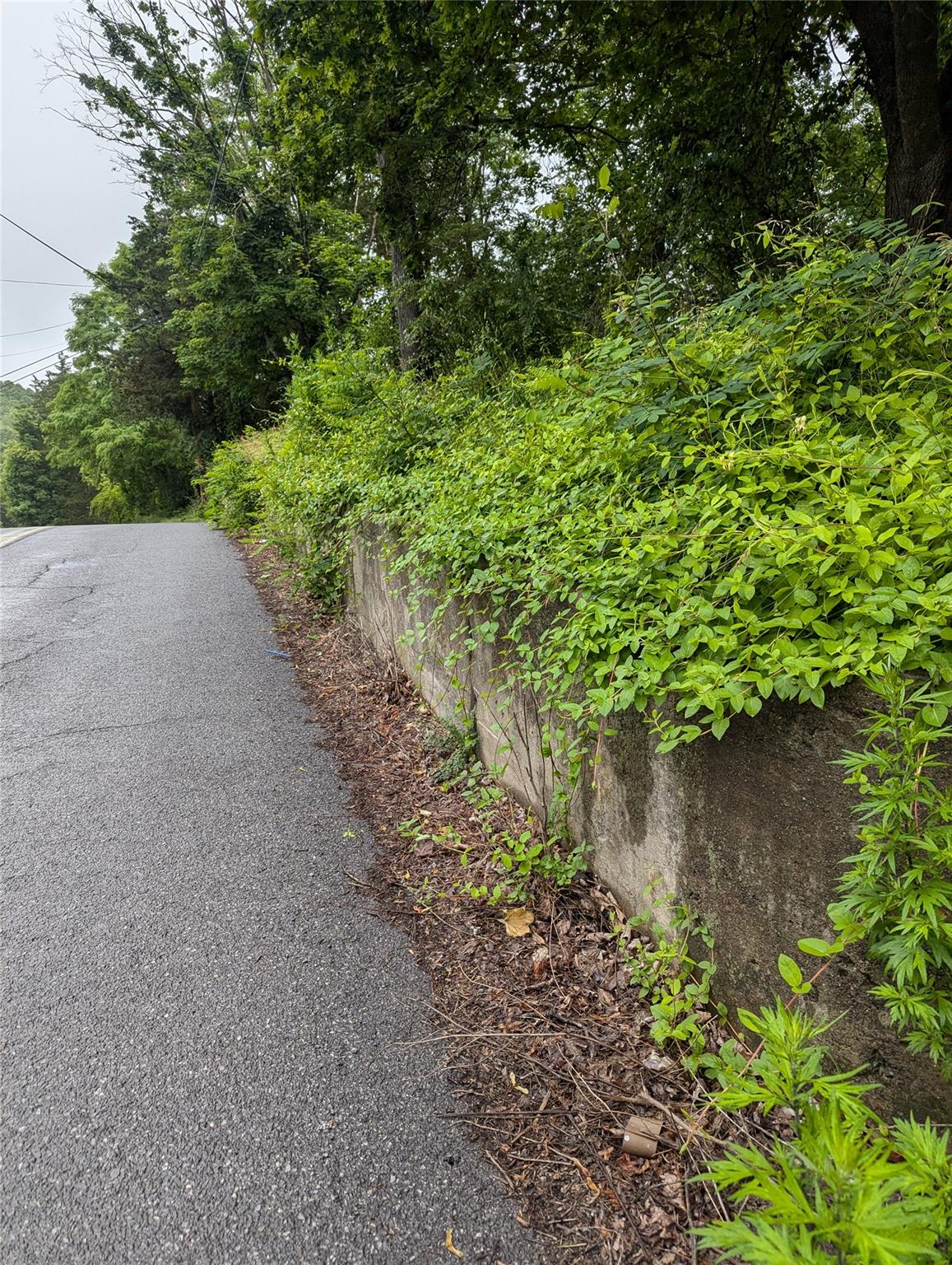 CAUTERSKILL, Catskill, NY 12414