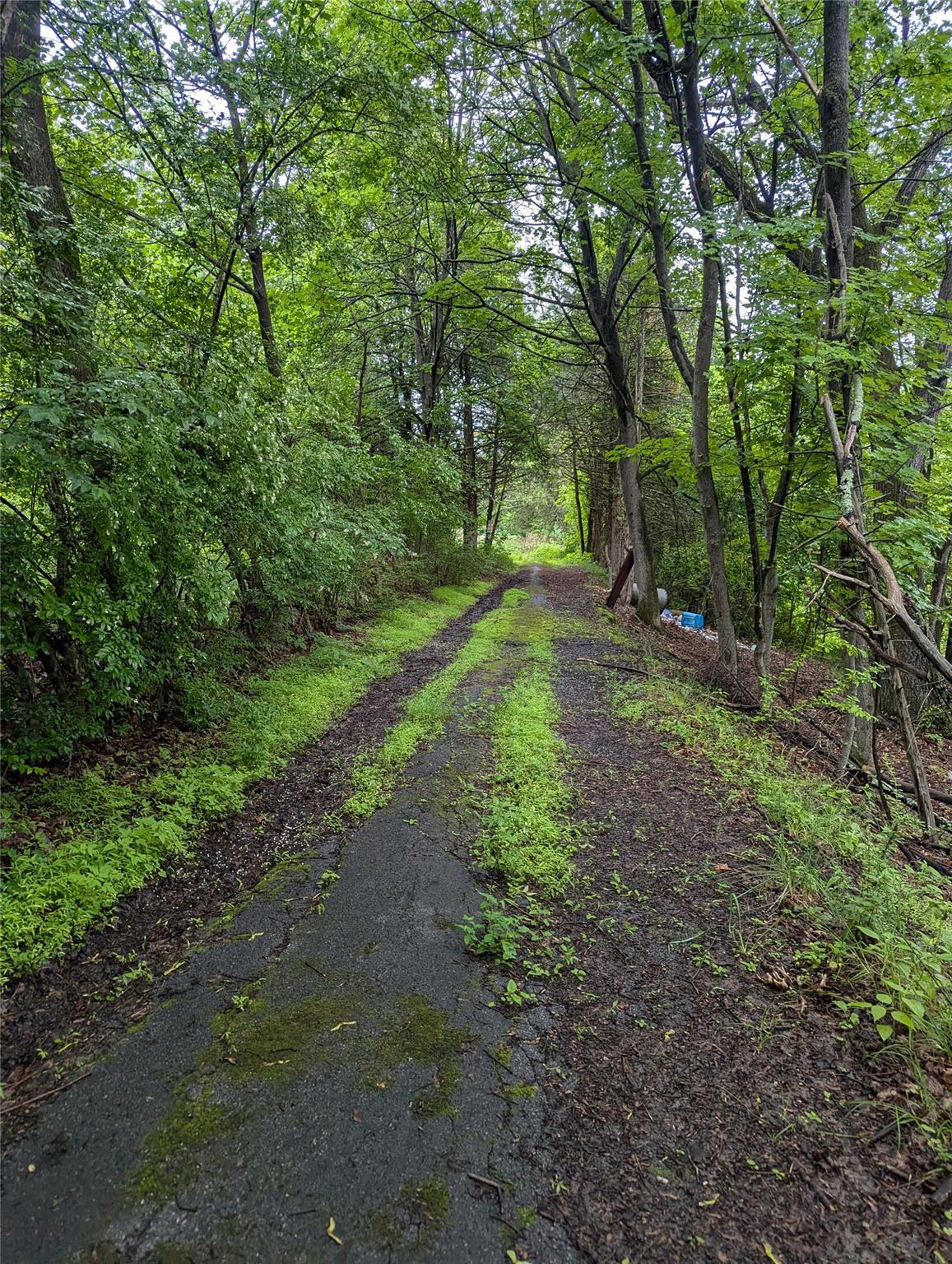 CAUTERSKILL, Catskill, NY 12414