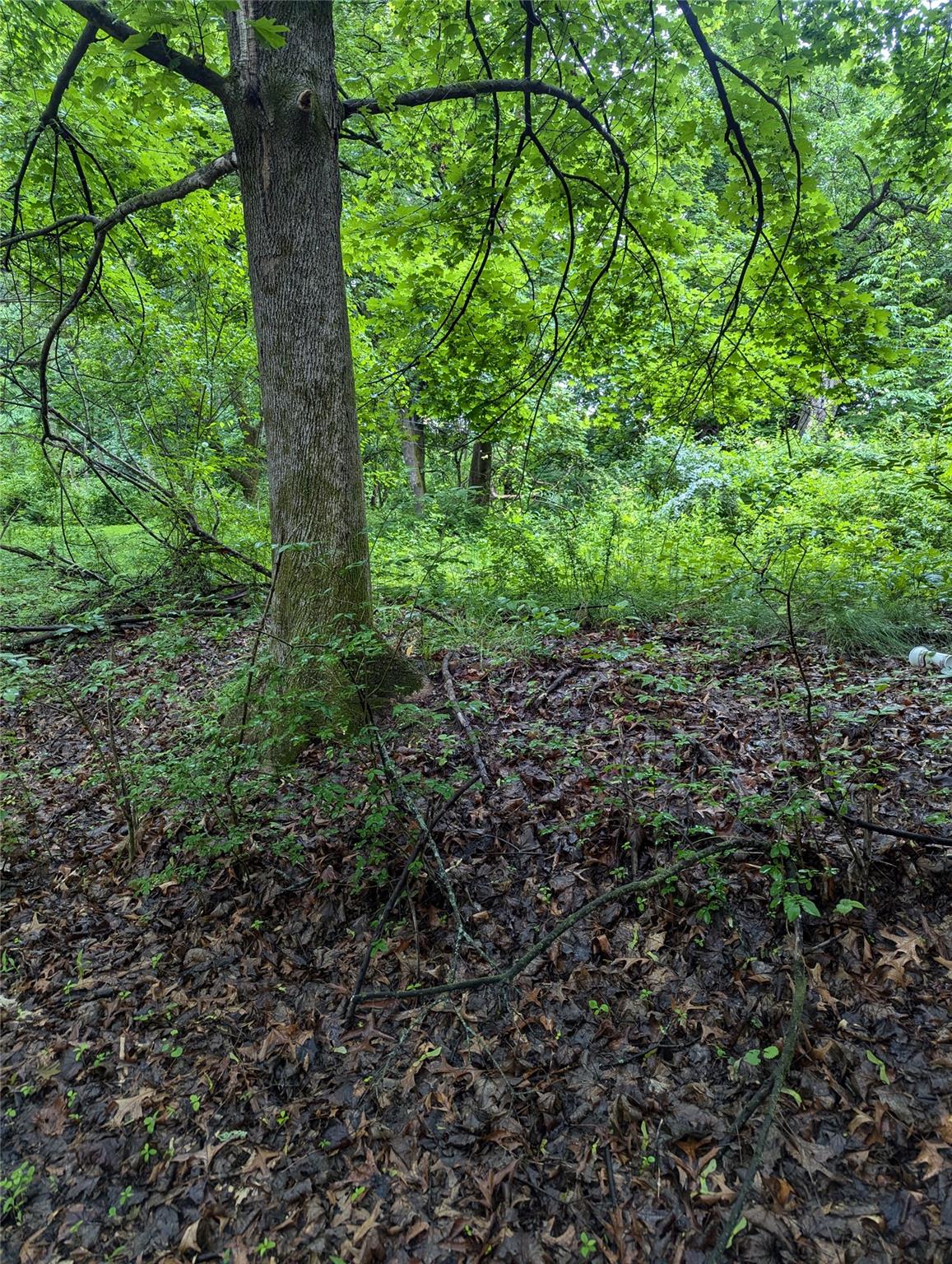 CAUTERSKILL, Catskill, NY 12414