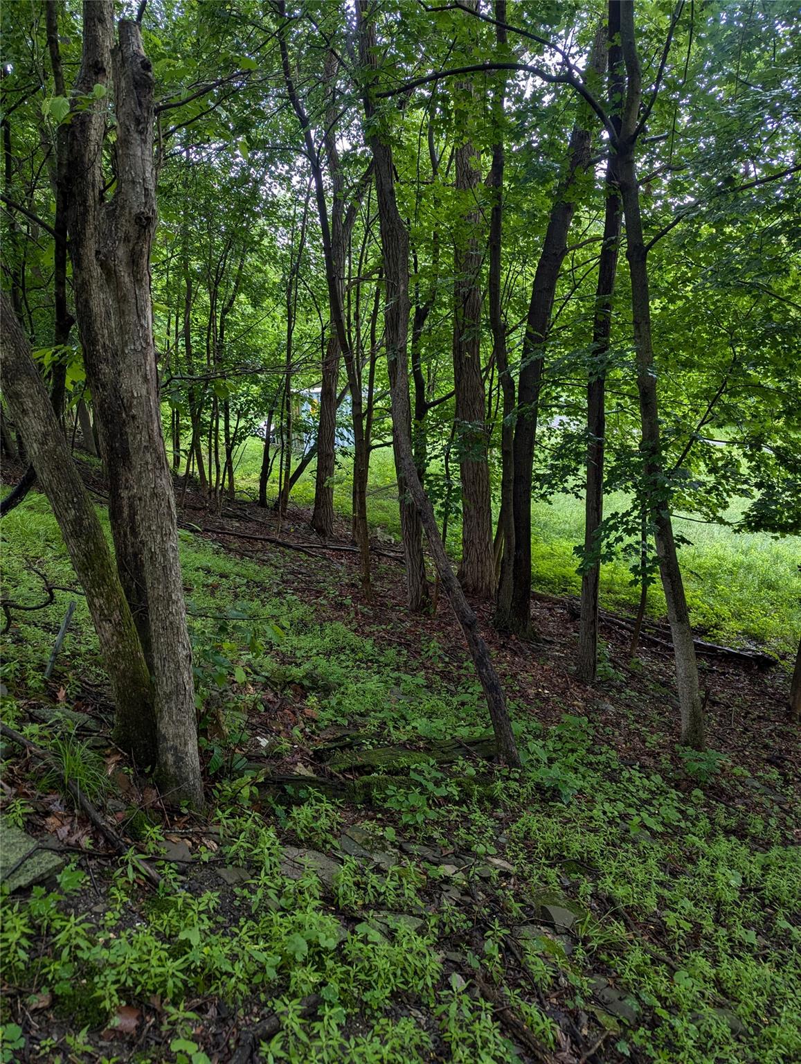 CAUTERSKILL, Catskill, NY 12414