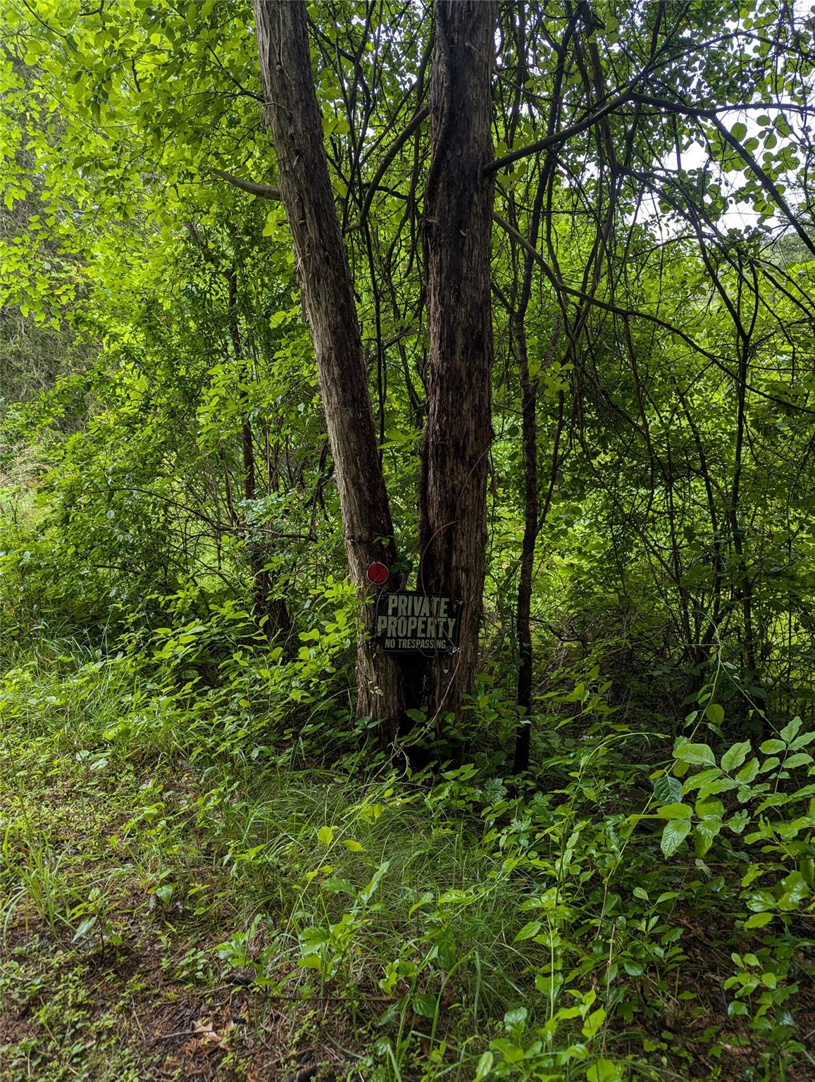 CAUTERSKILL, Catskill, NY 12414