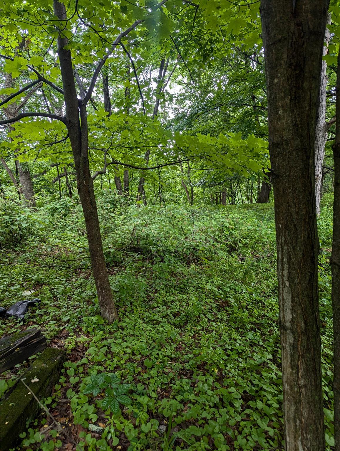 CAUTERSKILL, Catskill, NY 12414