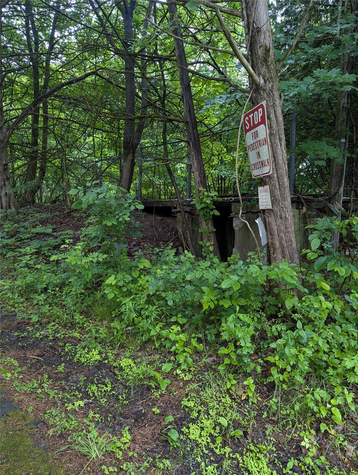 CAUTERSKILL, Catskill, NY 12414