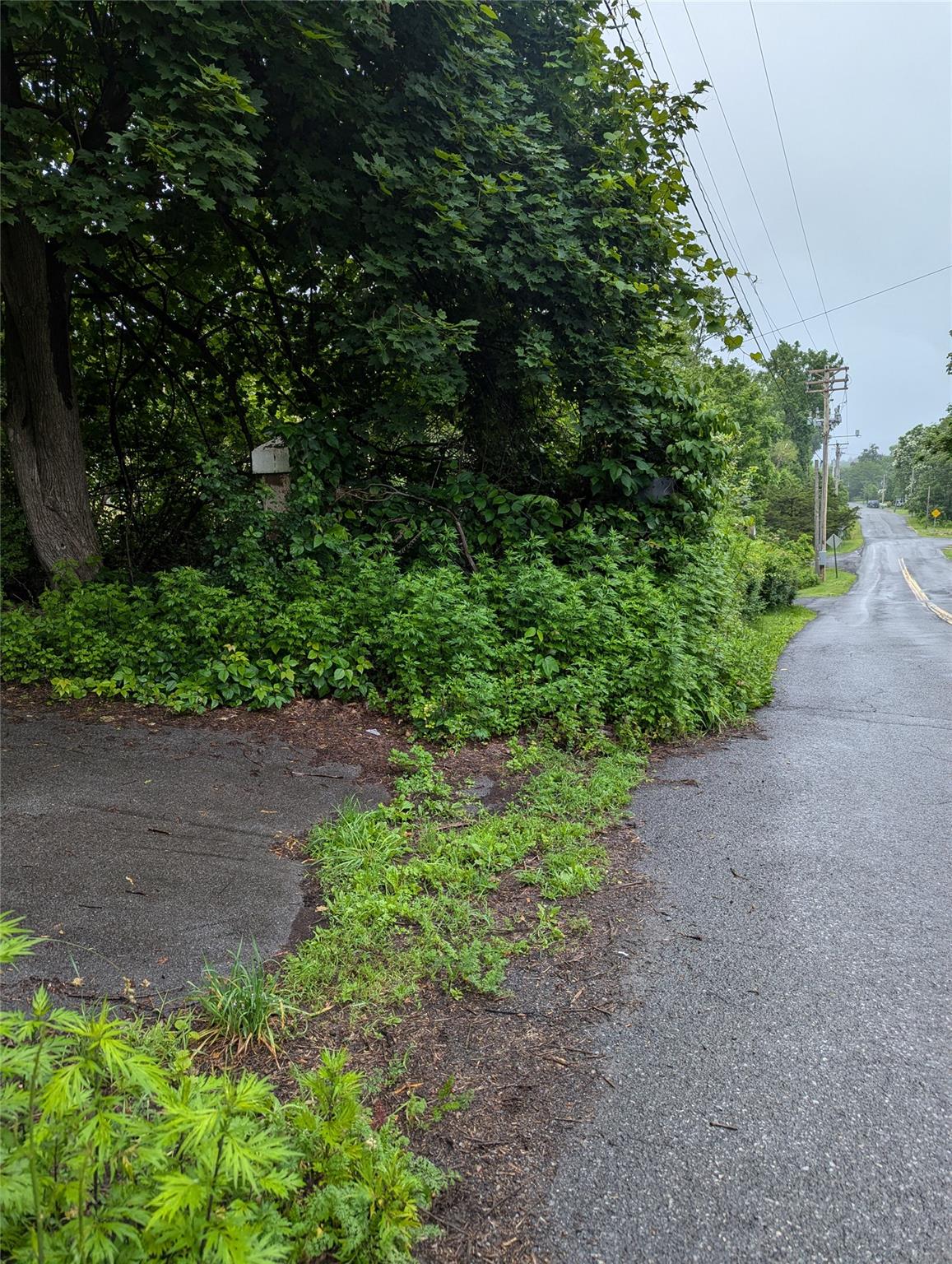 CAUTERSKILL, Catskill, NY 12414