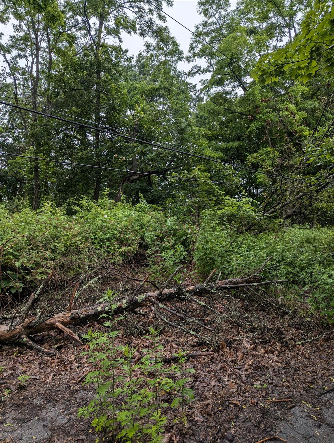 CAUTERSKILL, Catskill, NY 12414