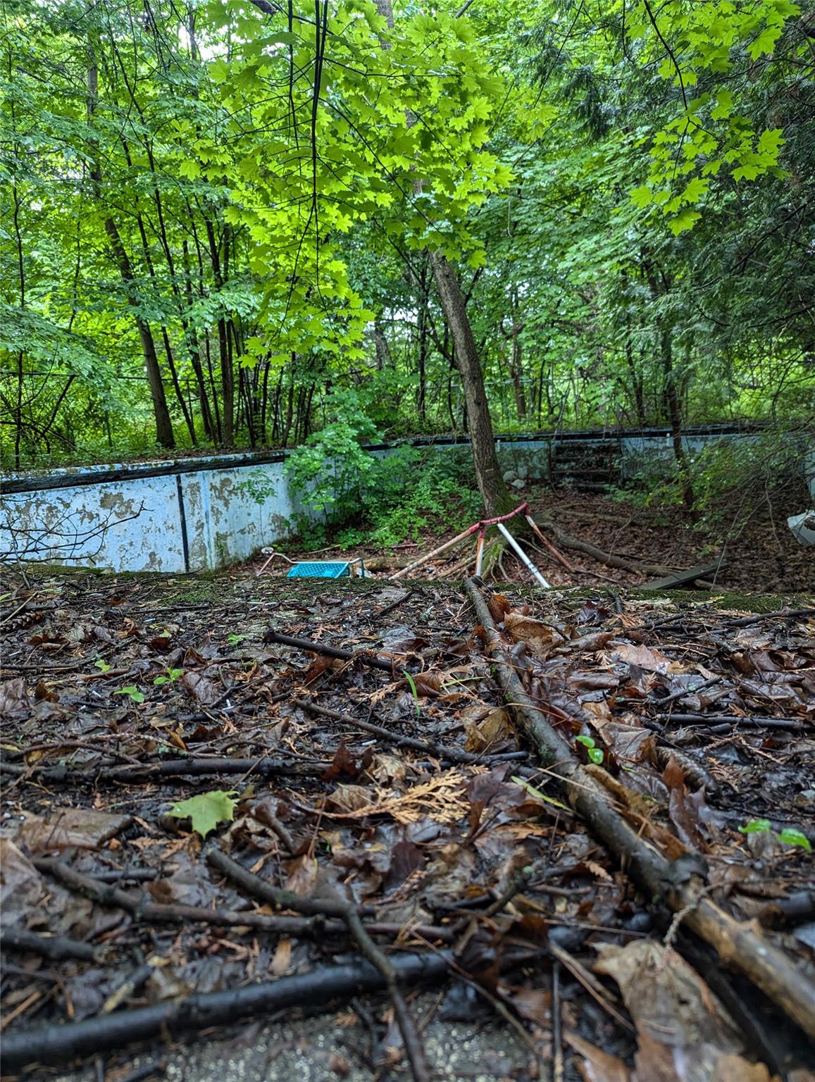 CAUTERSKILL, Catskill, NY 12414