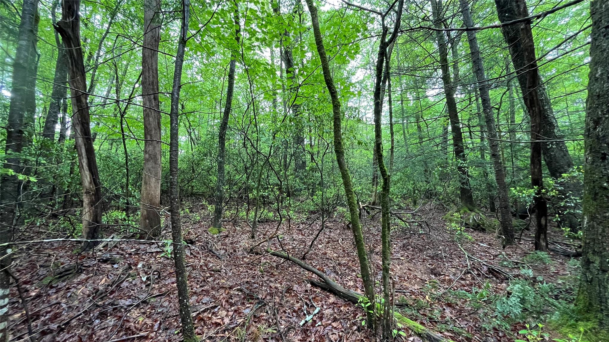 14 Saw Pitt Road, Kerhonkson, NY 12446