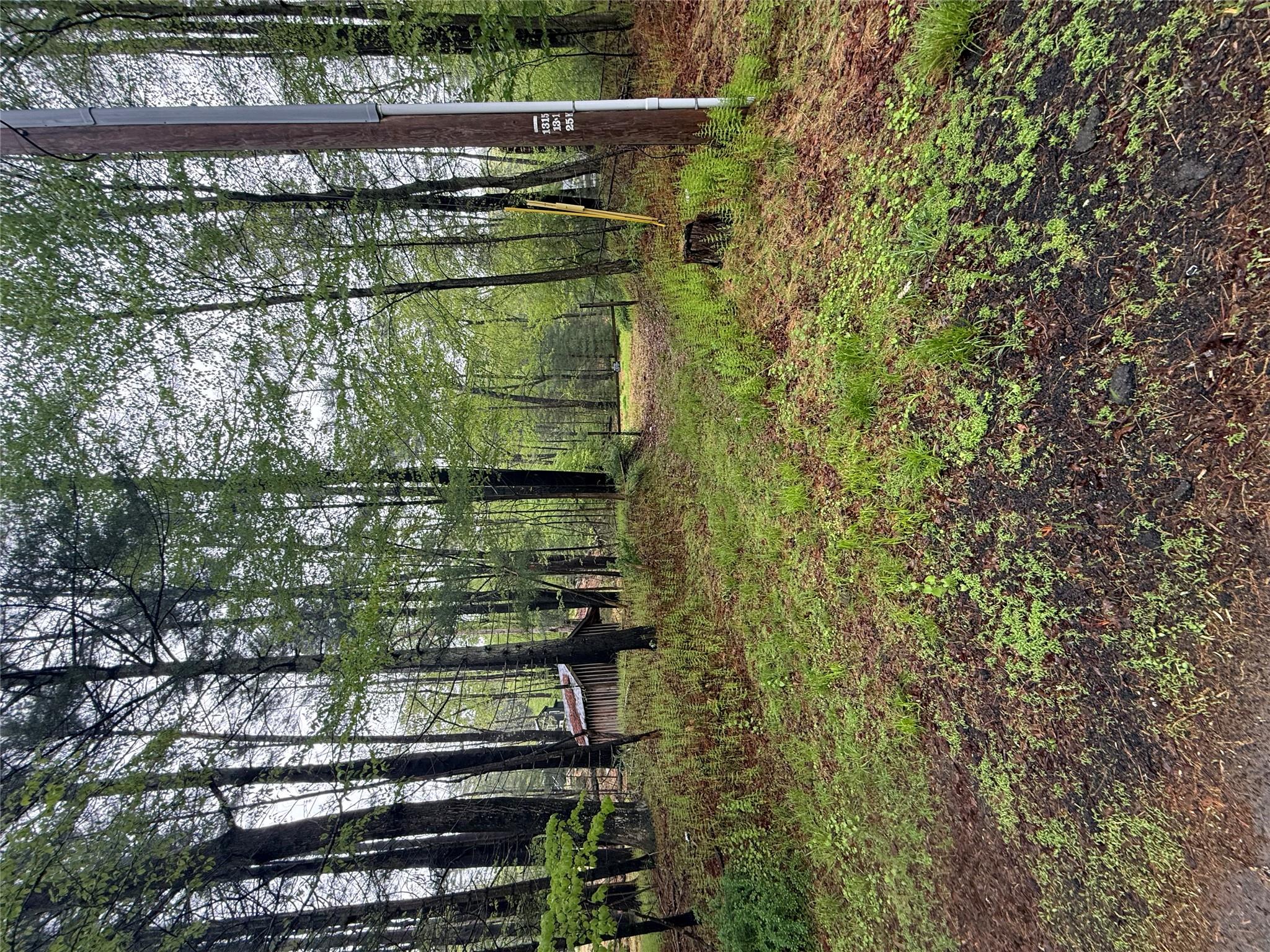 Hankins, Narrowsburg, NY