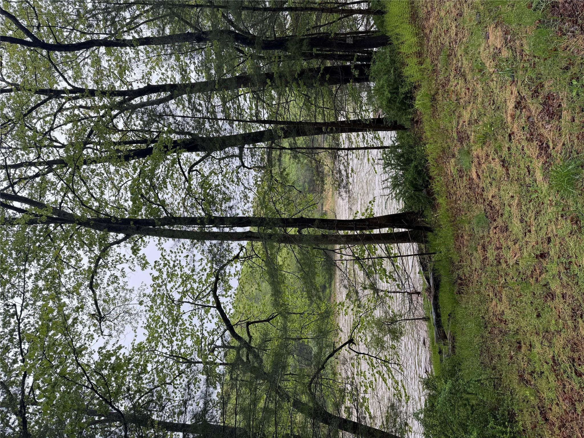 Hankins, Narrowsburg, NY