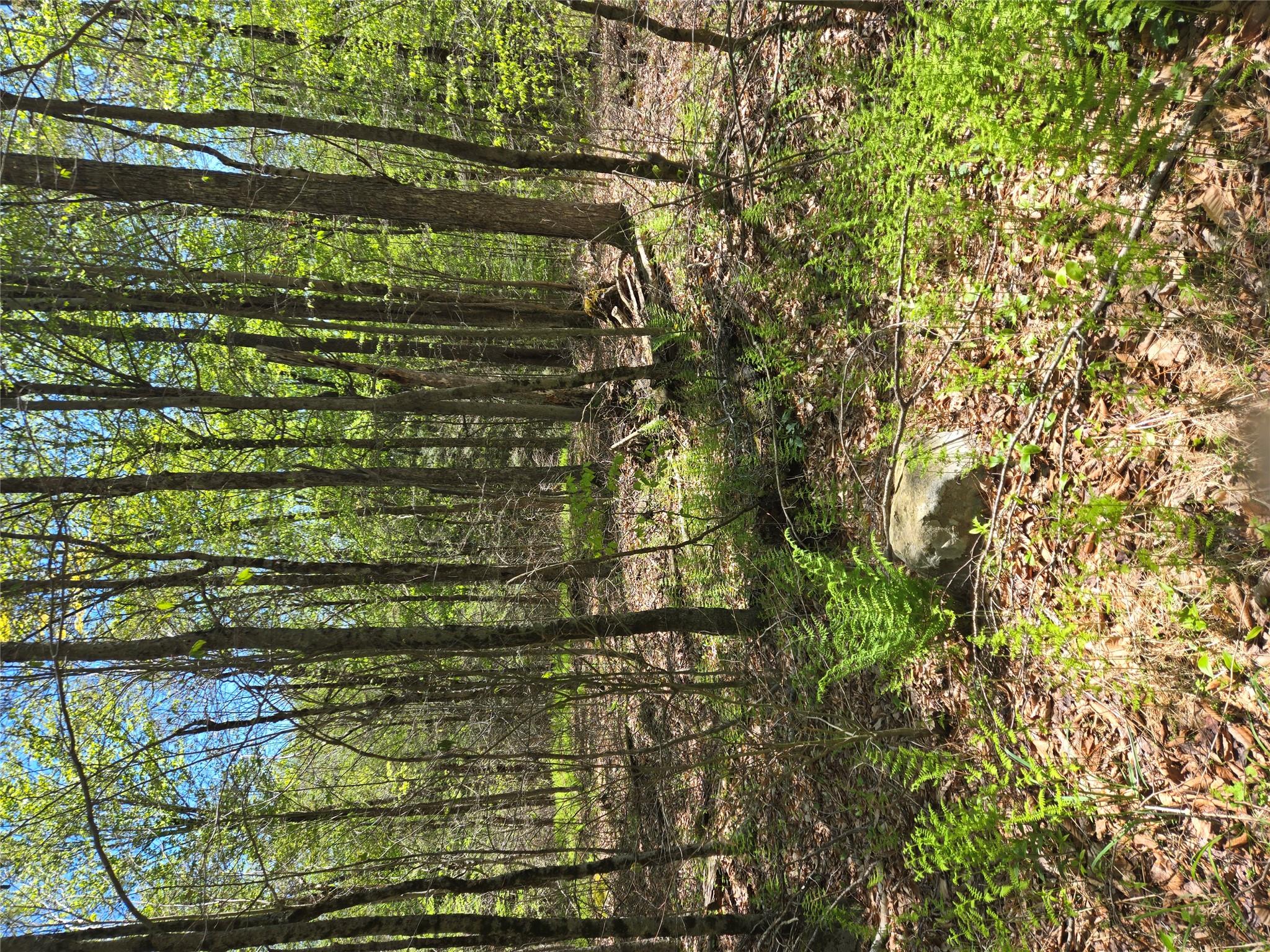 0 Dill Road, Forestburgh, NY 12777