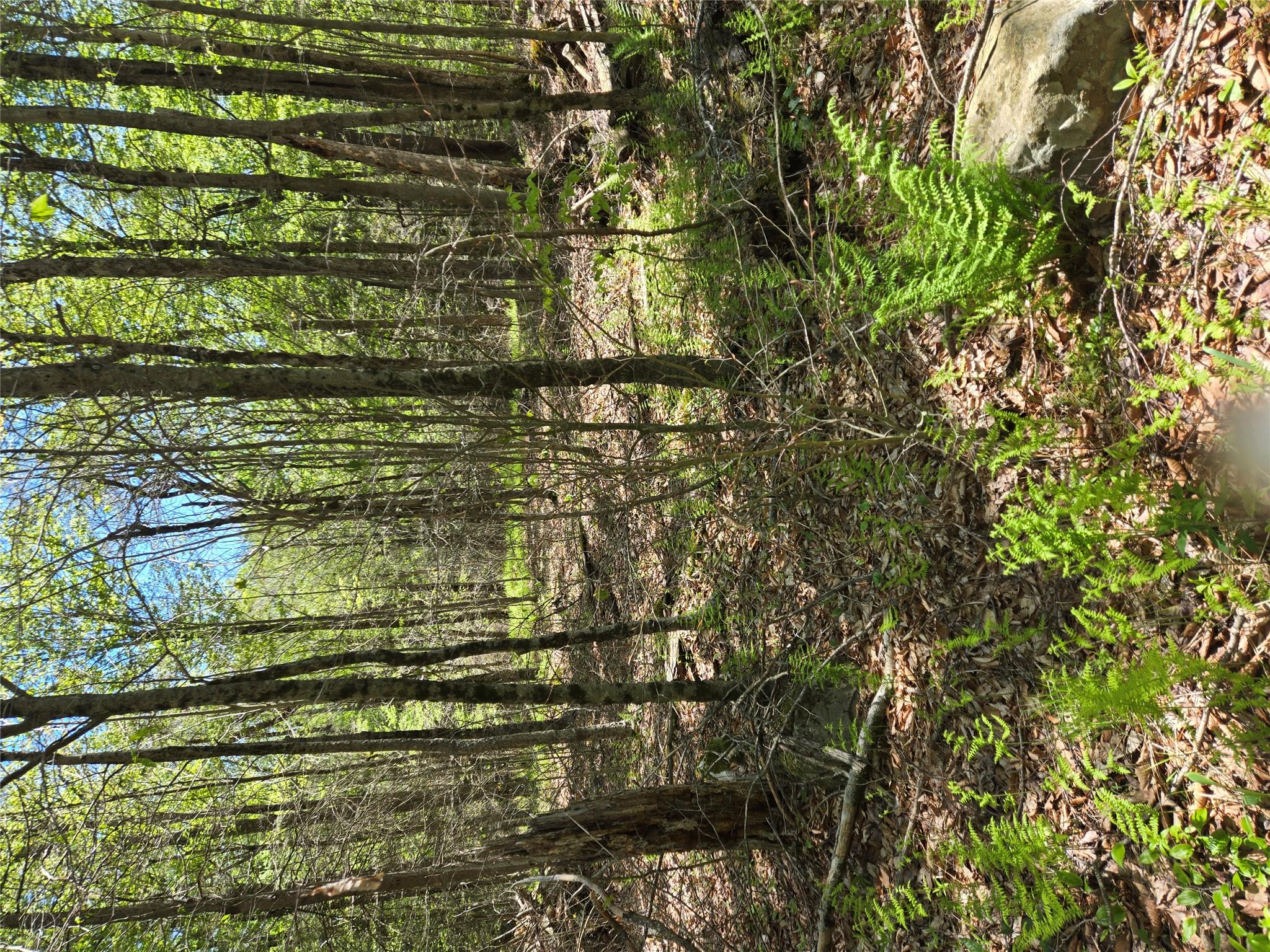 0 Dill Road, Forestburgh, NY 12777