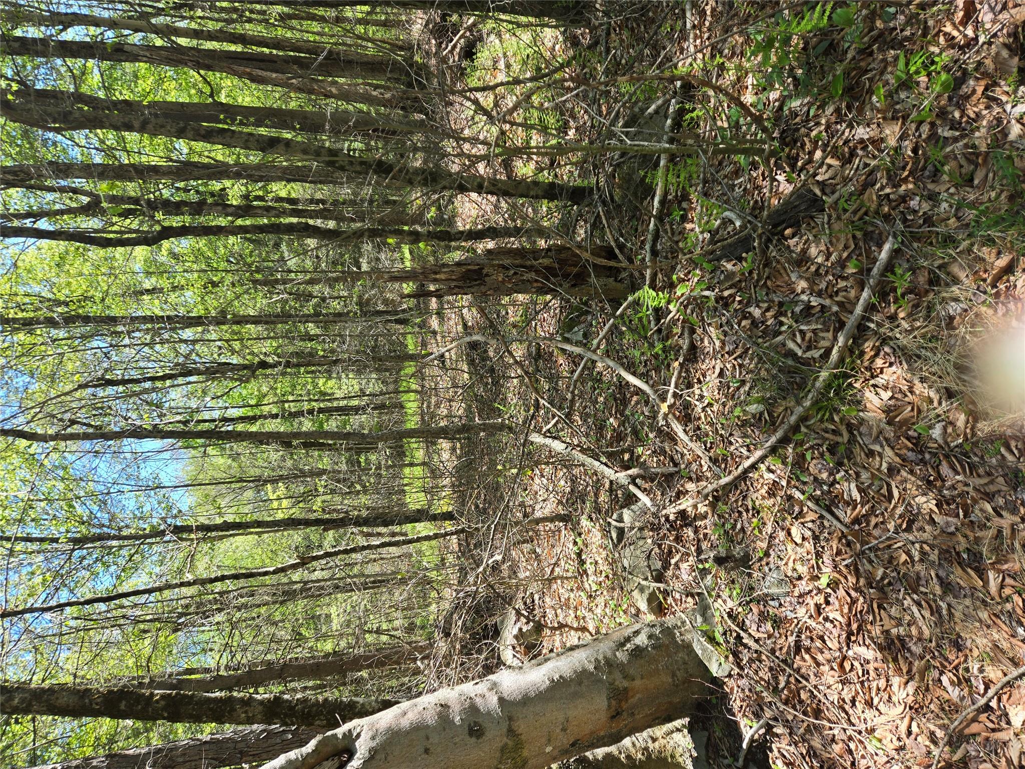 0 Dill Road, Forestburgh, NY 12777