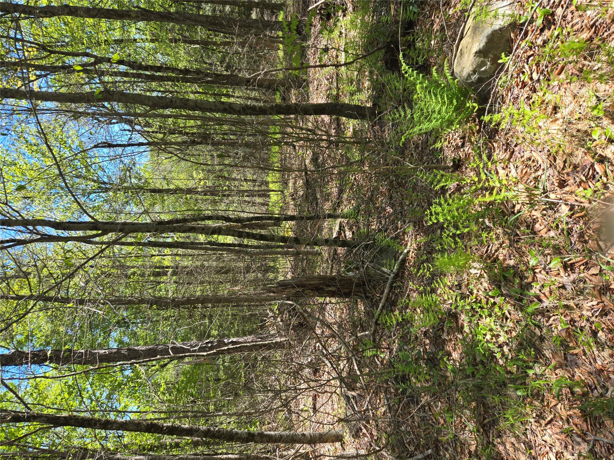 0 Dill Road, Forestburgh, NY 12777