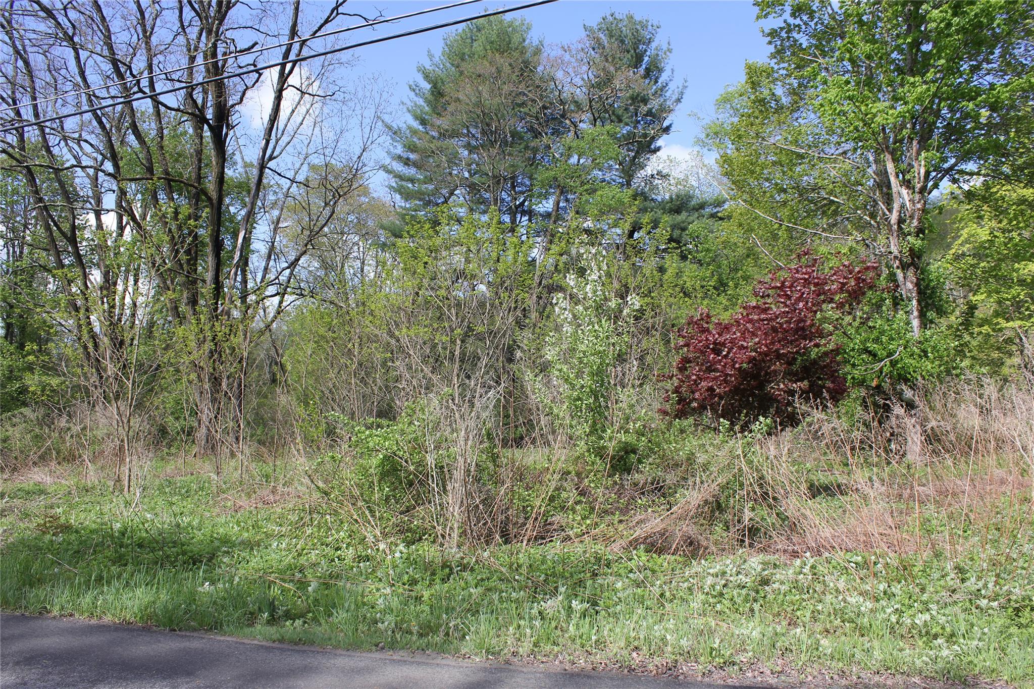 53 Menges Road, Livingston Manor, NY 12758