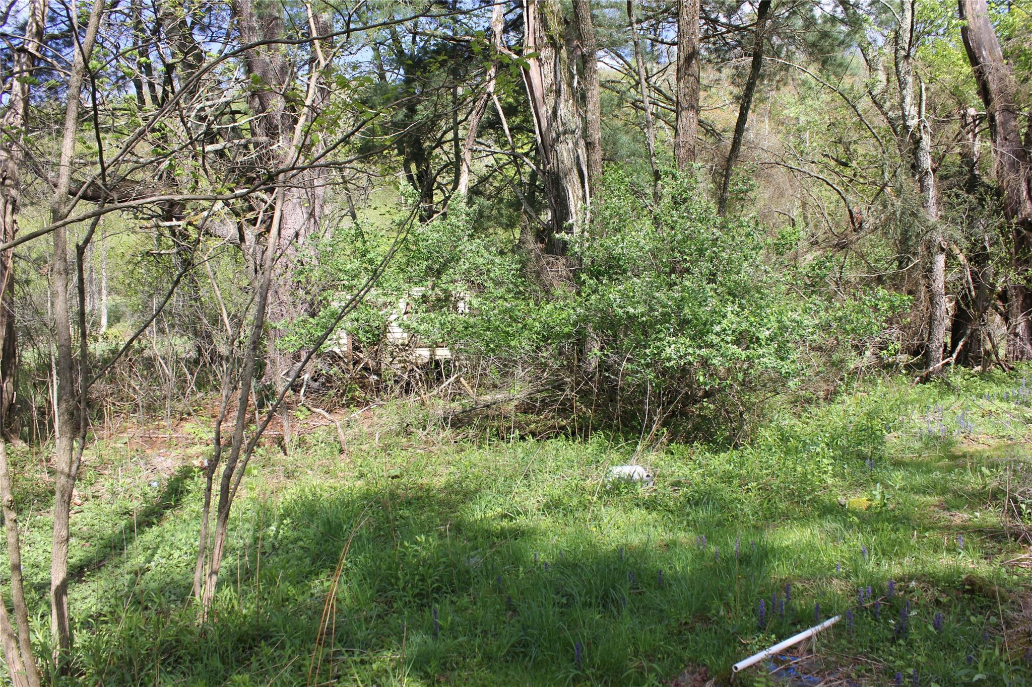 53 Menges Road, Livingston Manor, NY 12758