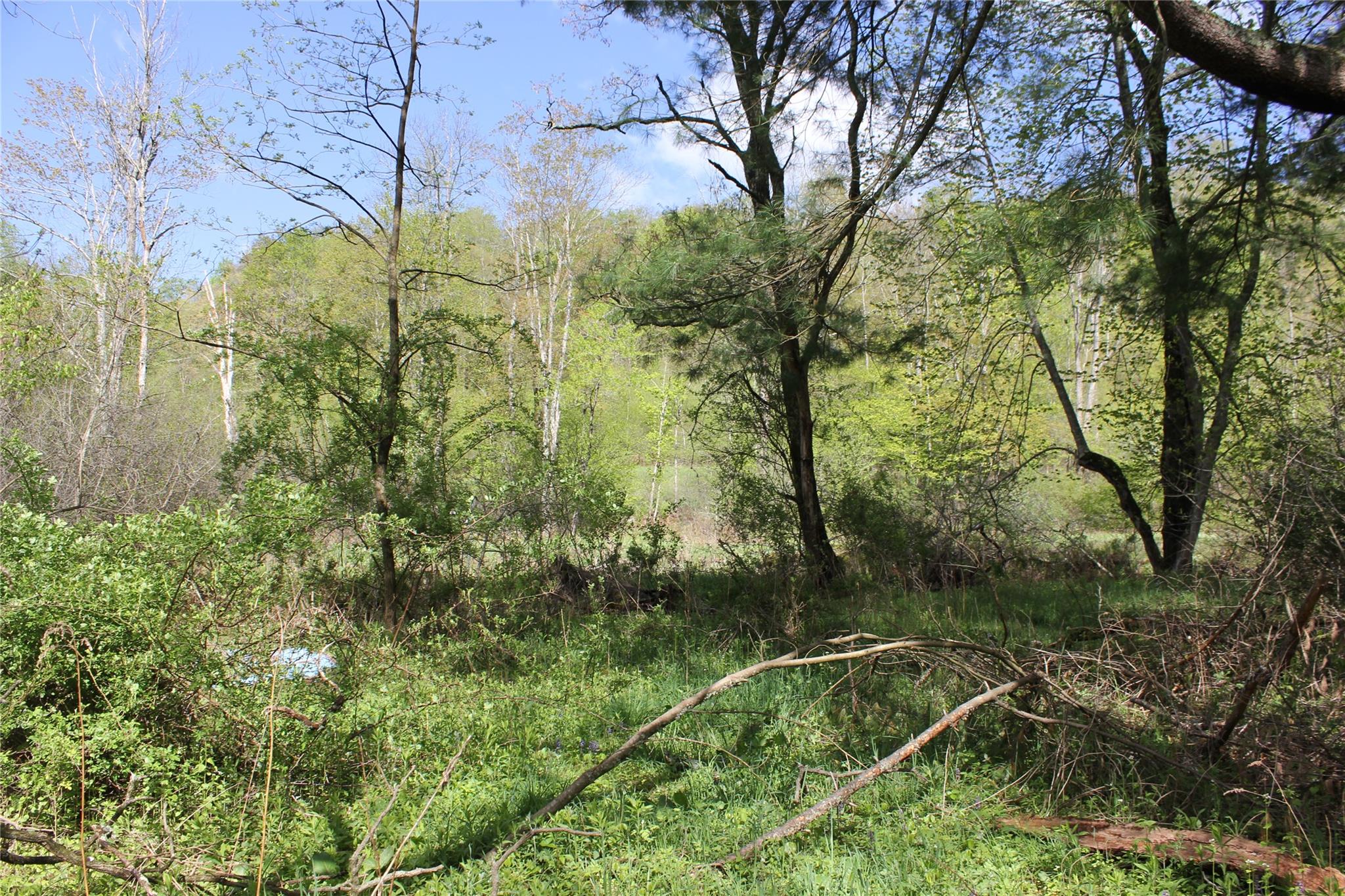 53 Menges Road, Livingston Manor, NY 12758