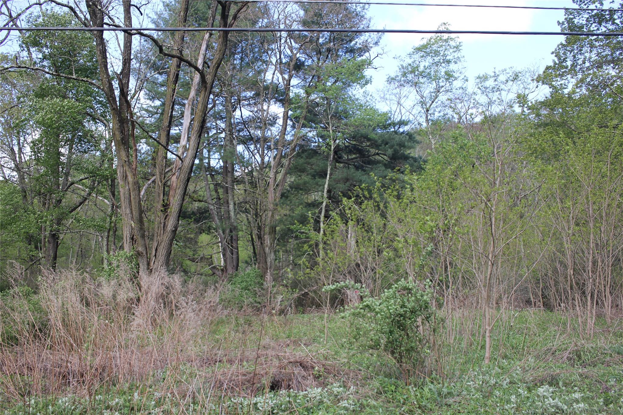 53 Menges Road, Livingston Manor, NY 12758