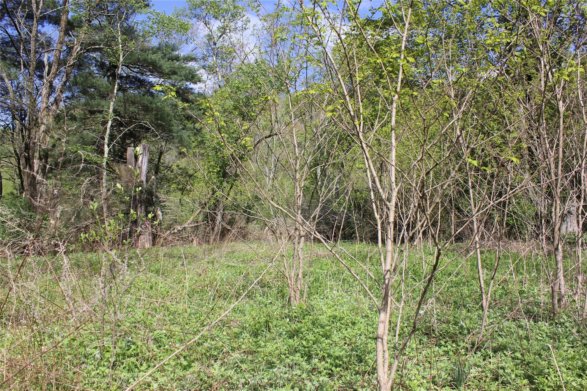 53 Menges Road, Livingston Manor, NY 12758