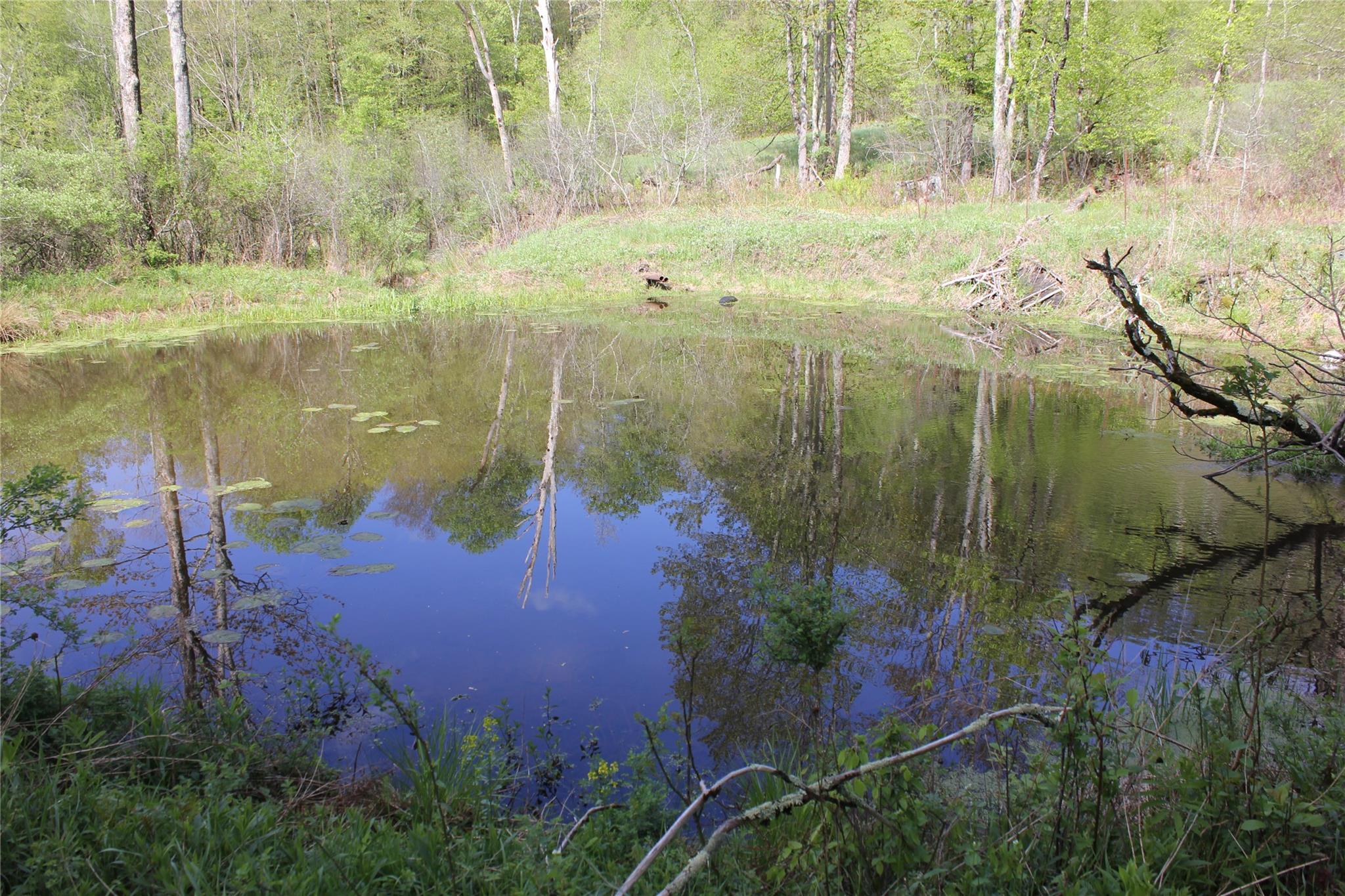 53 Menges Road, Livingston Manor, NY 12758