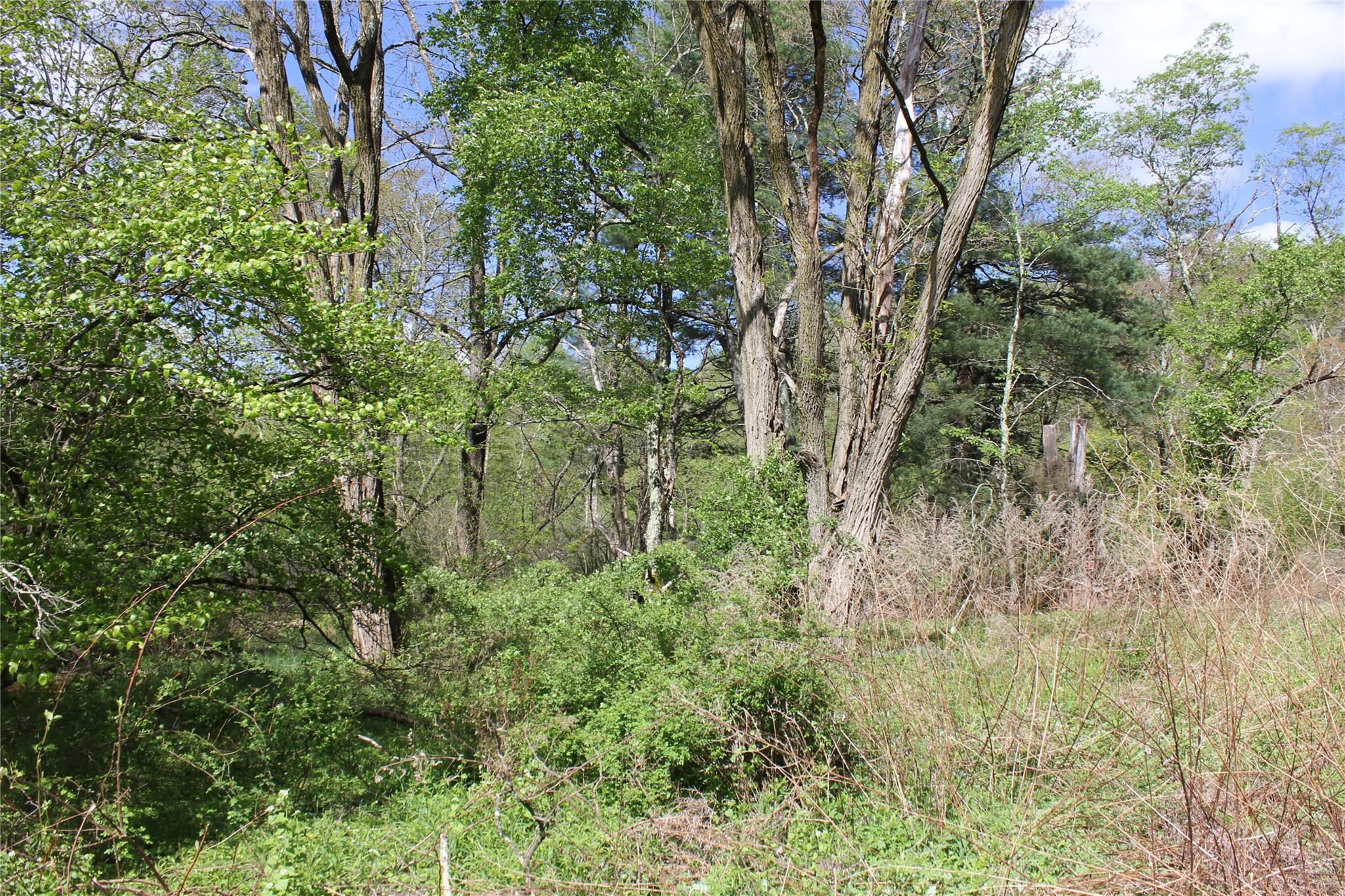 53 Menges Road, Livingston Manor, NY 12758