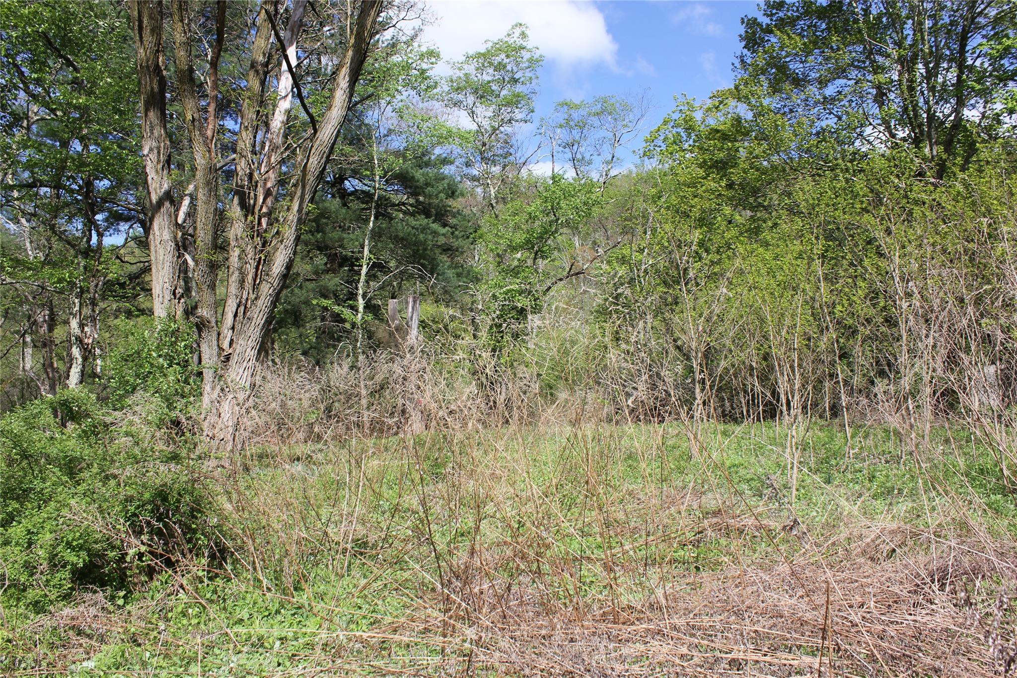 53 Menges Road, Livingston Manor, NY 12758