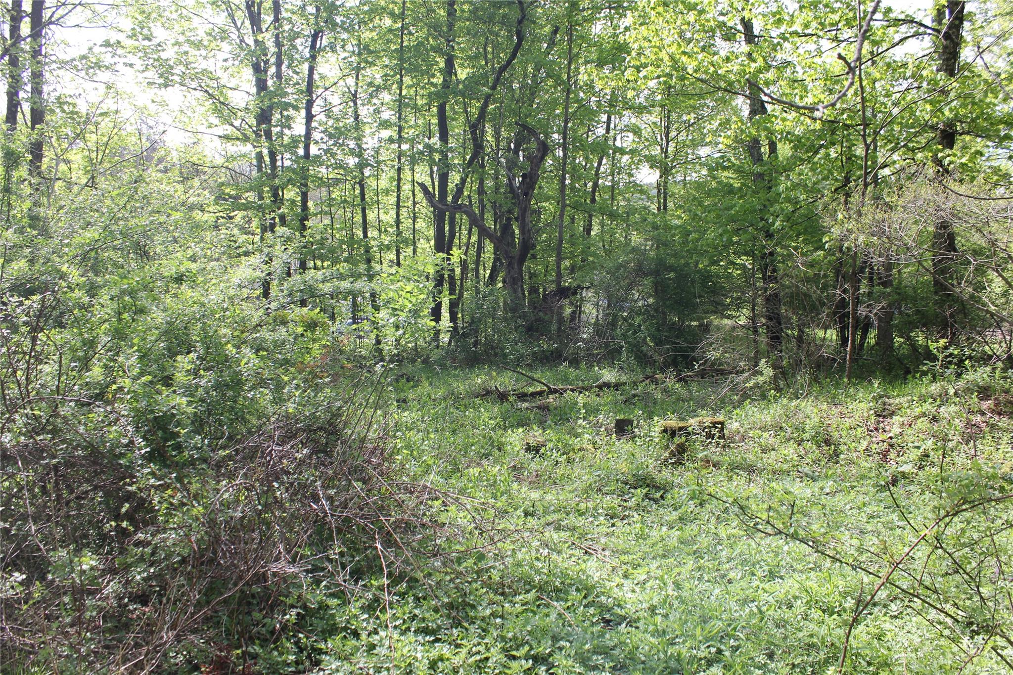 53 Menges Road, Livingston Manor, NY 12758