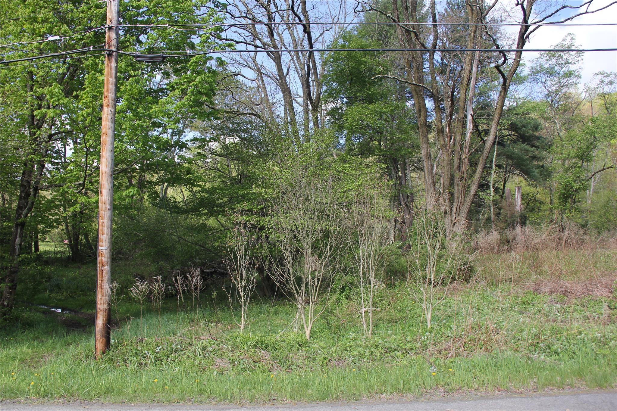 53 Menges Road, Livingston Manor, NY 12758