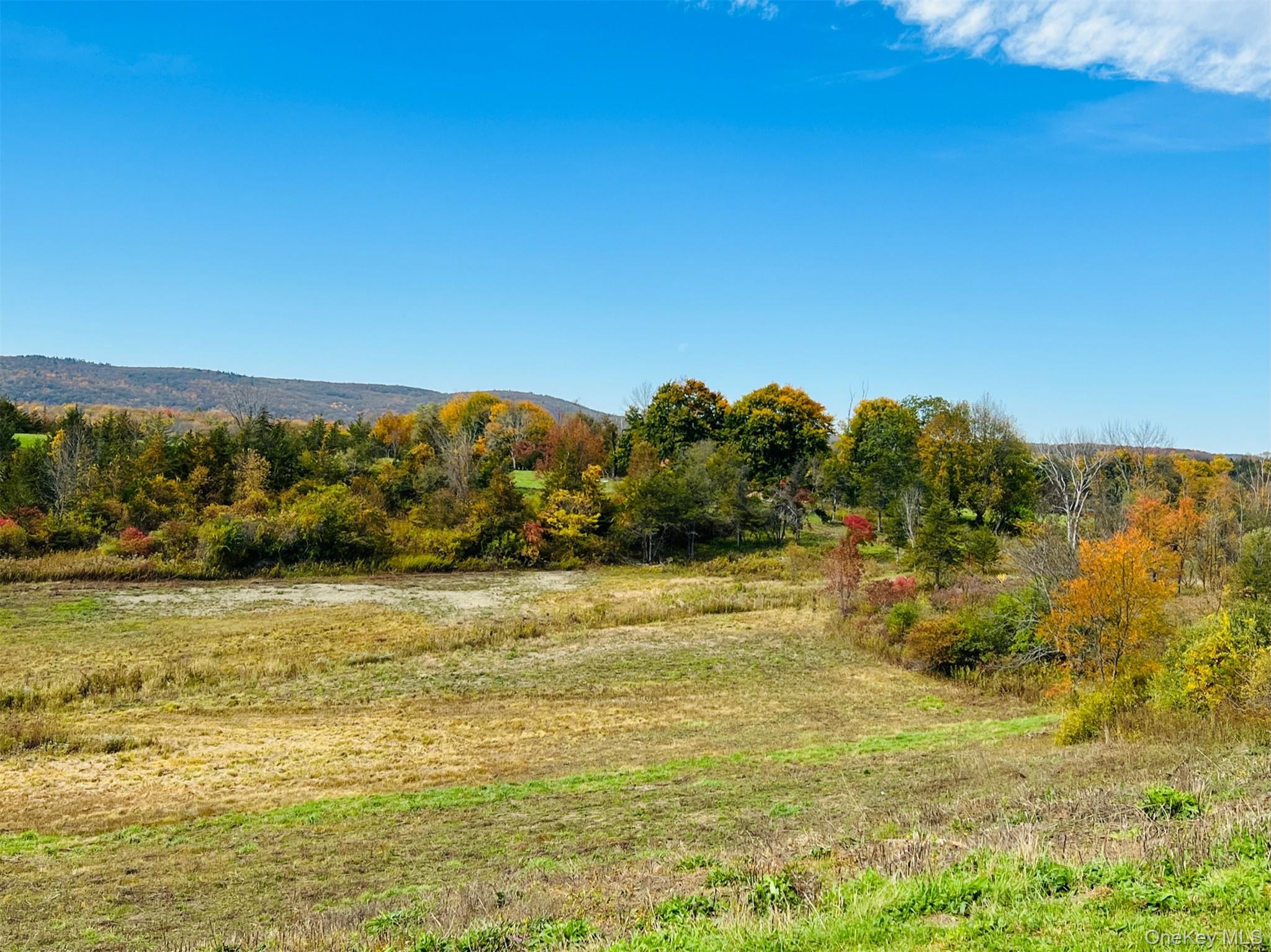 Lot 4 Westerly Ridge Drive, Amenia, NY 12501