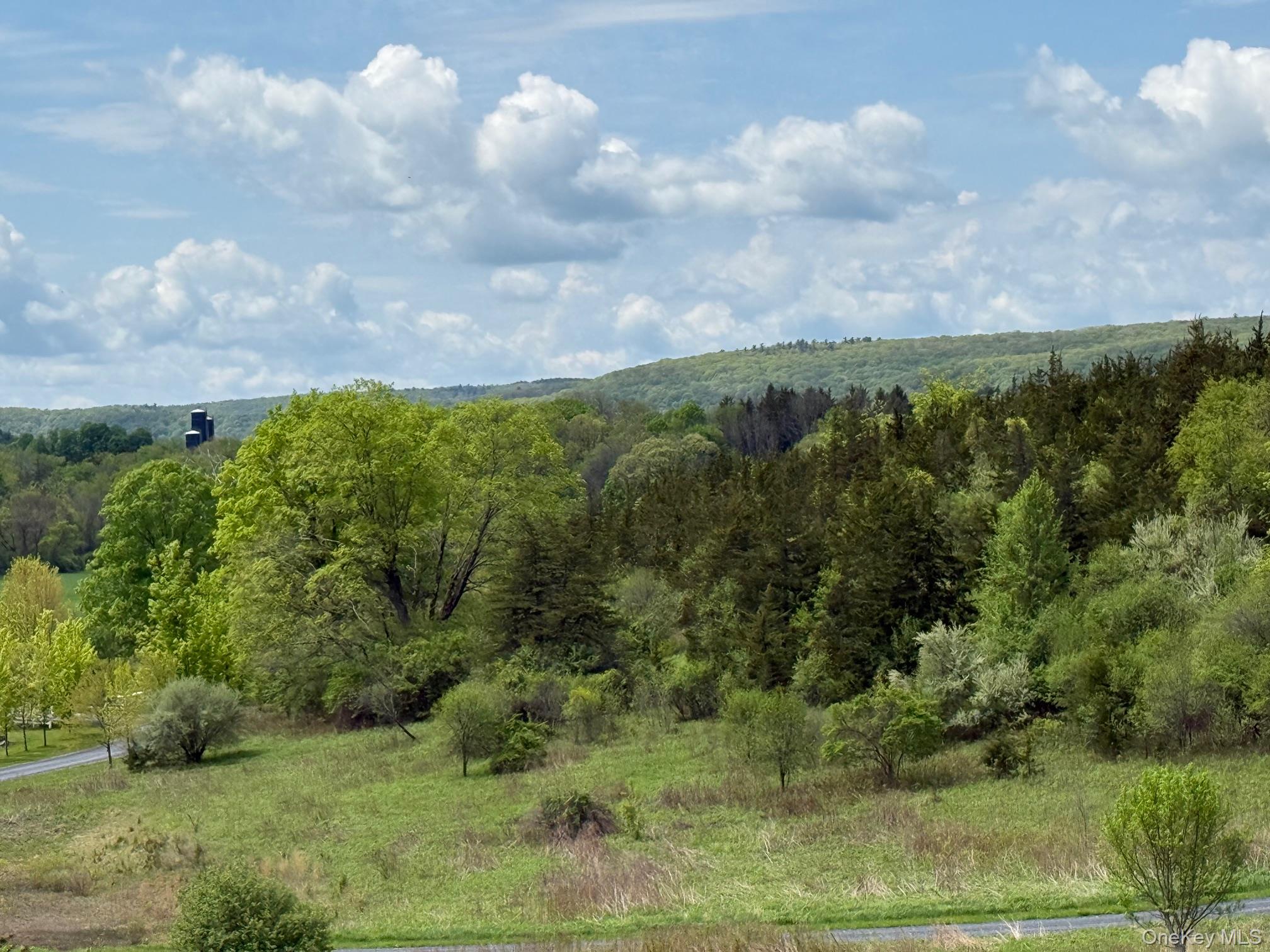 Lot 4 Westerly Ridge Drive, Amenia, NY 12501