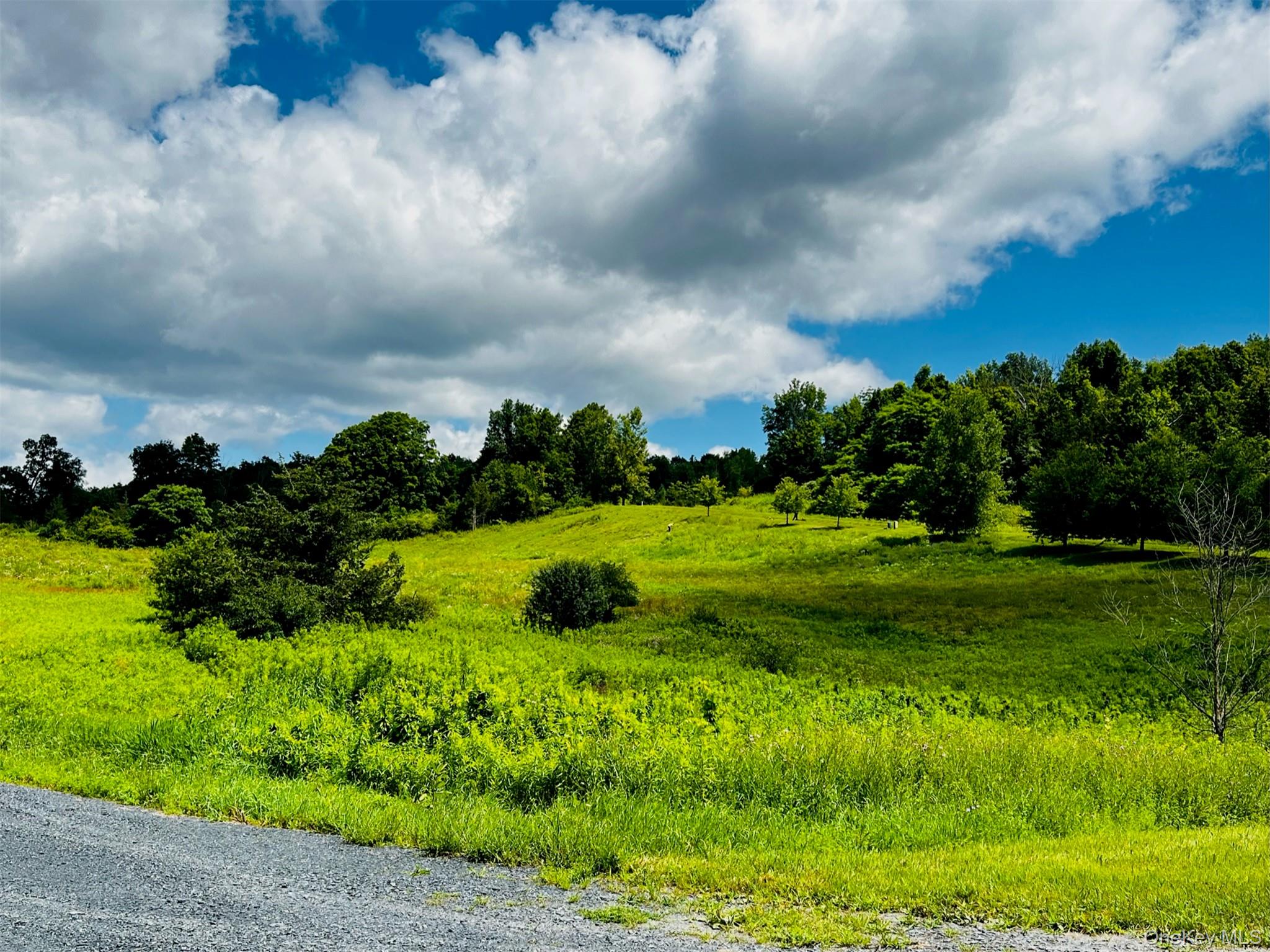 Lot 4 Westerly Ridge Drive, Amenia, NY 12501