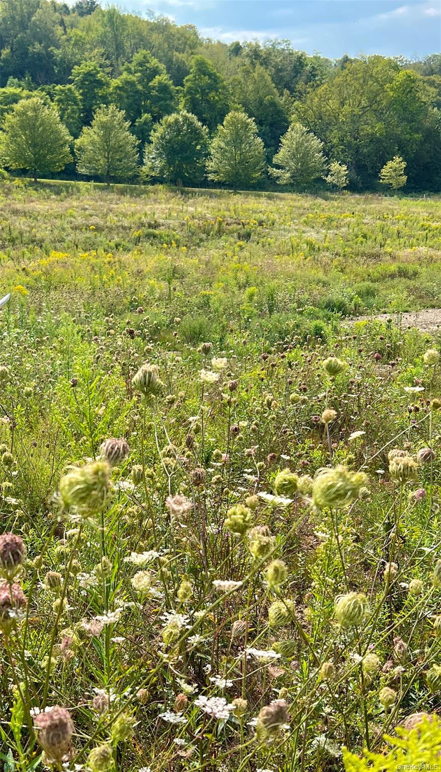 Lot 4 Westerly Ridge Drive, Amenia, NY 12501