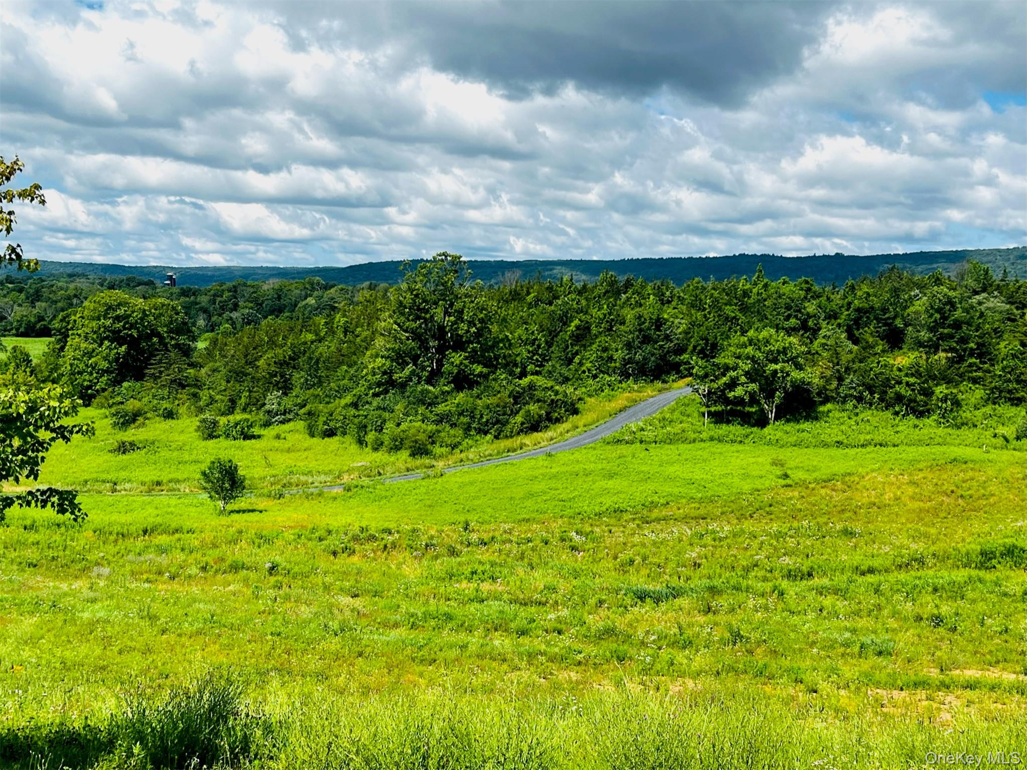 Lot 4 Westerly Ridge Drive, Amenia, NY 12501