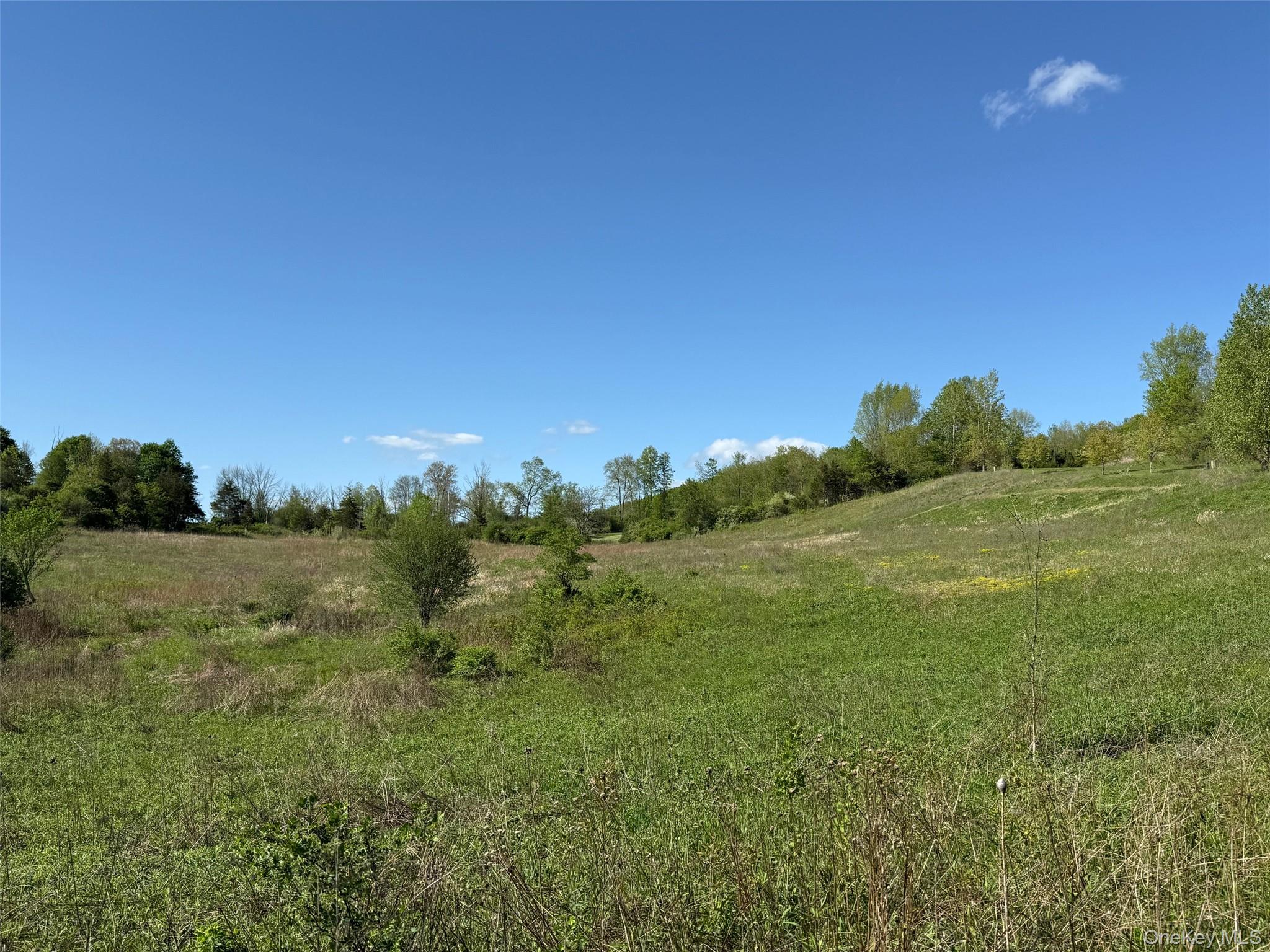 Lot 4 Westerly Ridge Drive, Amenia, NY 12501