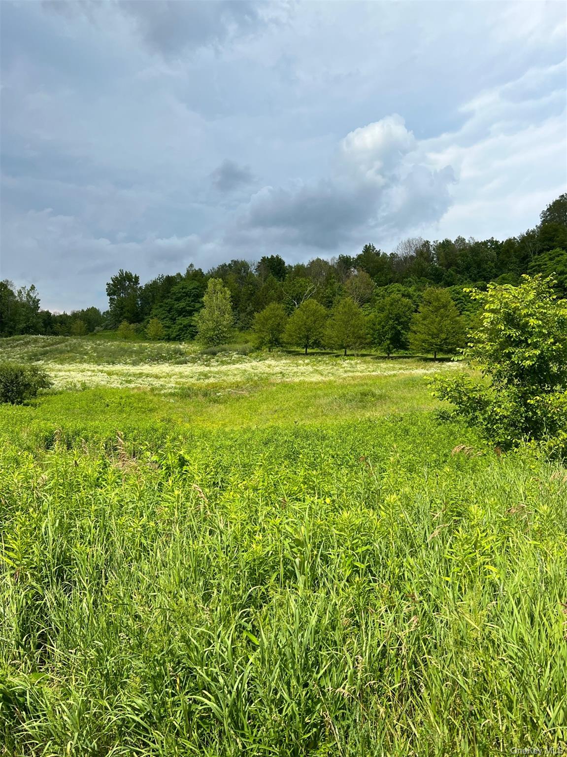 Lot 4 Westerly Ridge Drive, Amenia, NY 12501