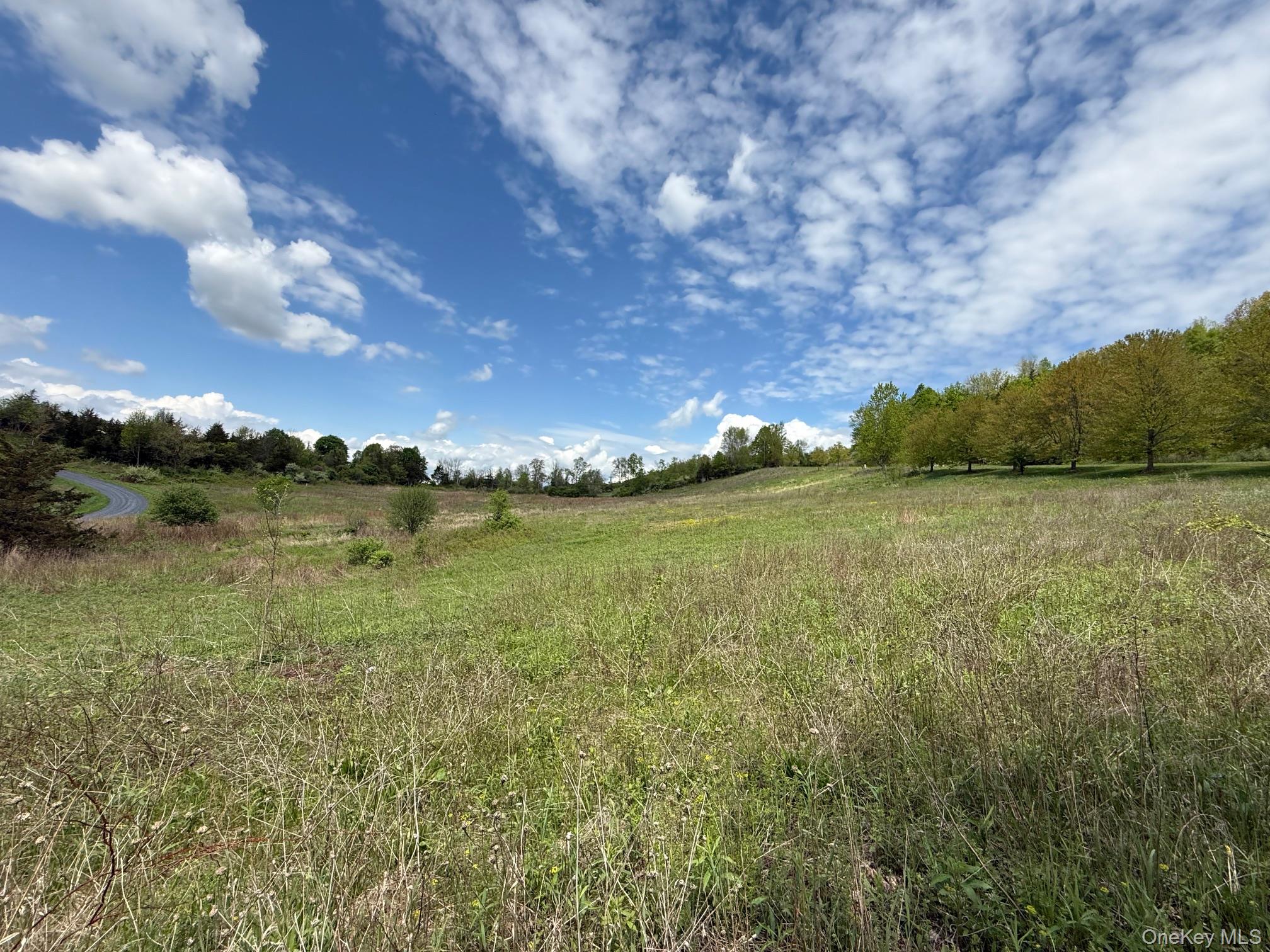 Lot 4 Westerly Ridge Drive, Amenia, NY 12501