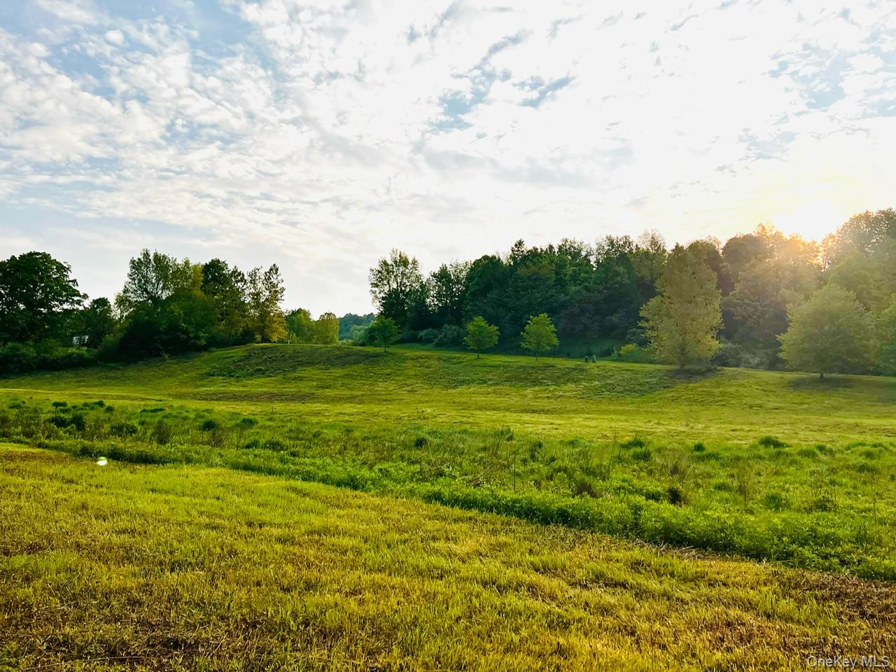 Lot 4 Westerly Ridge Drive, Amenia, NY 12501