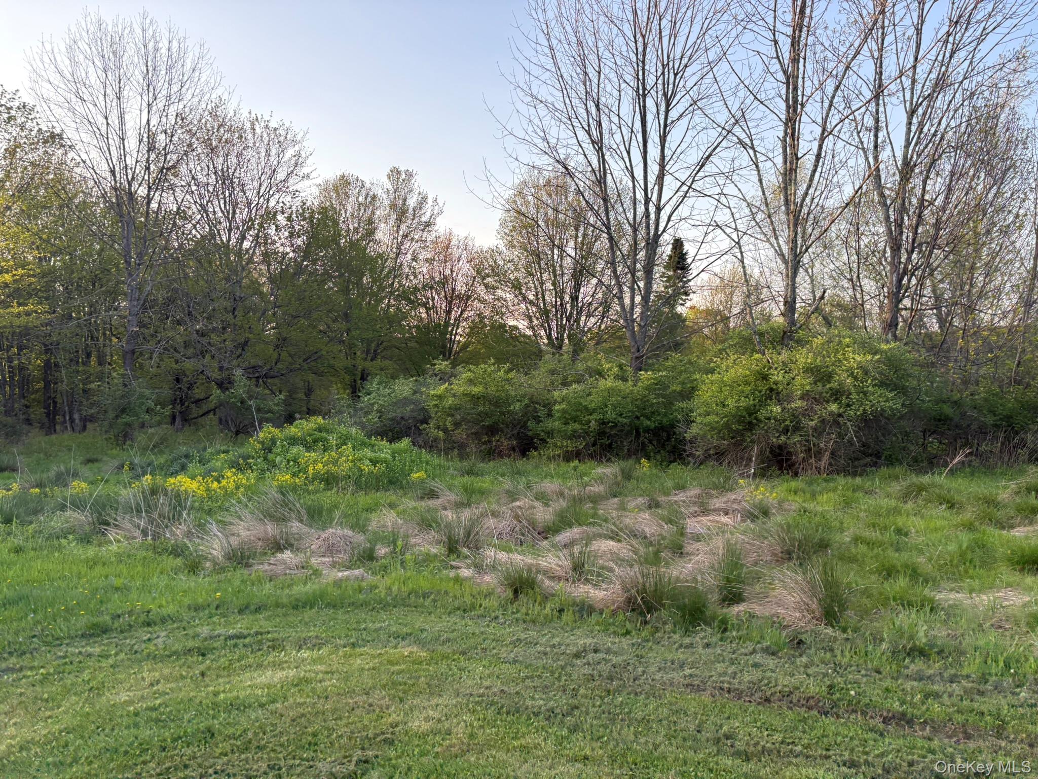 223 Wade, Liberty, NY 12754