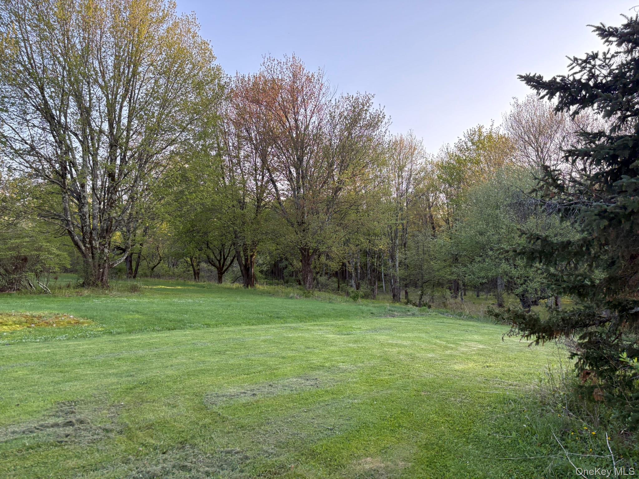 223 Wade, Liberty, NY 12754