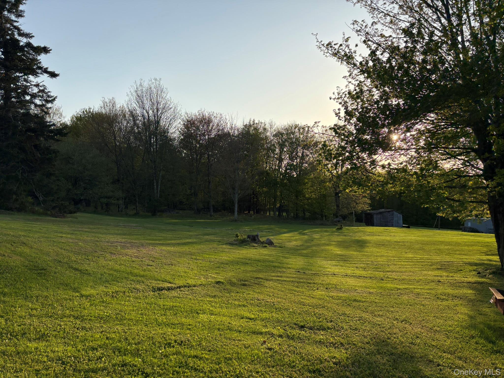 223 Wade, Liberty, NY 12754