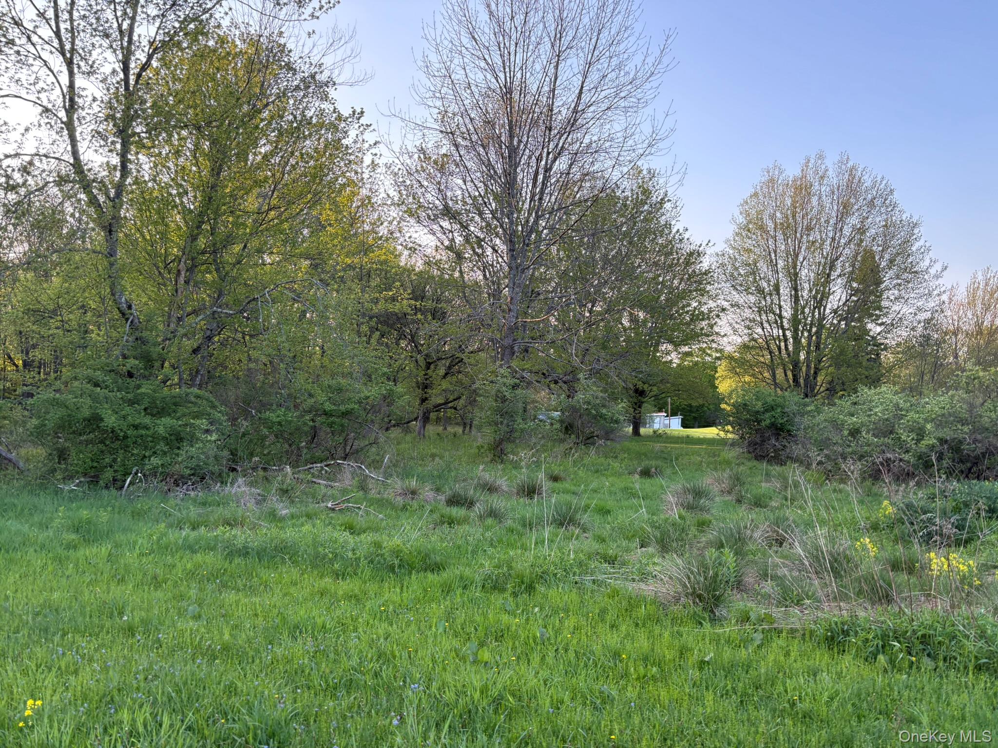 223 Wade, Liberty, NY 12754