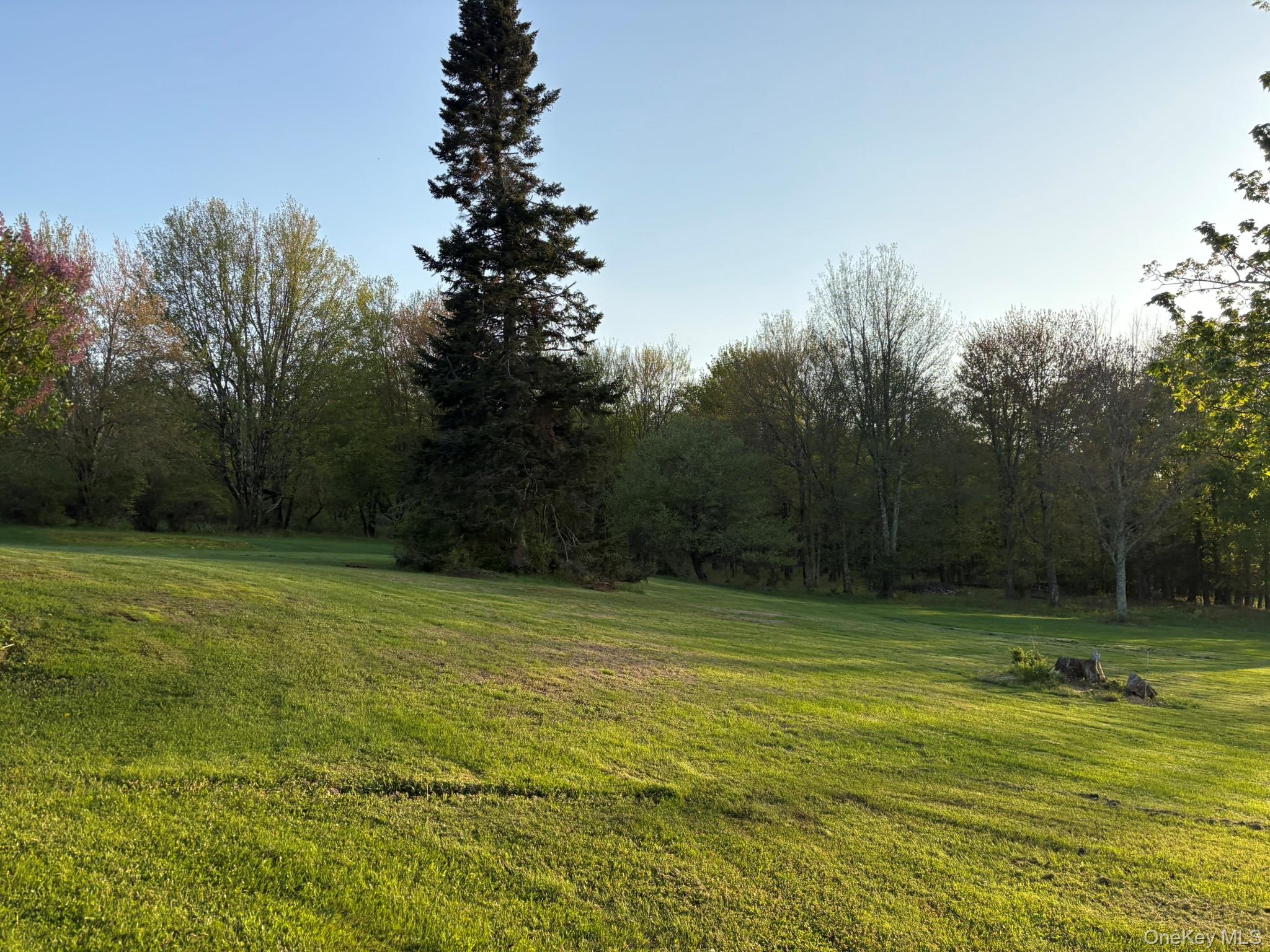 223 Wade, Liberty, NY 12754