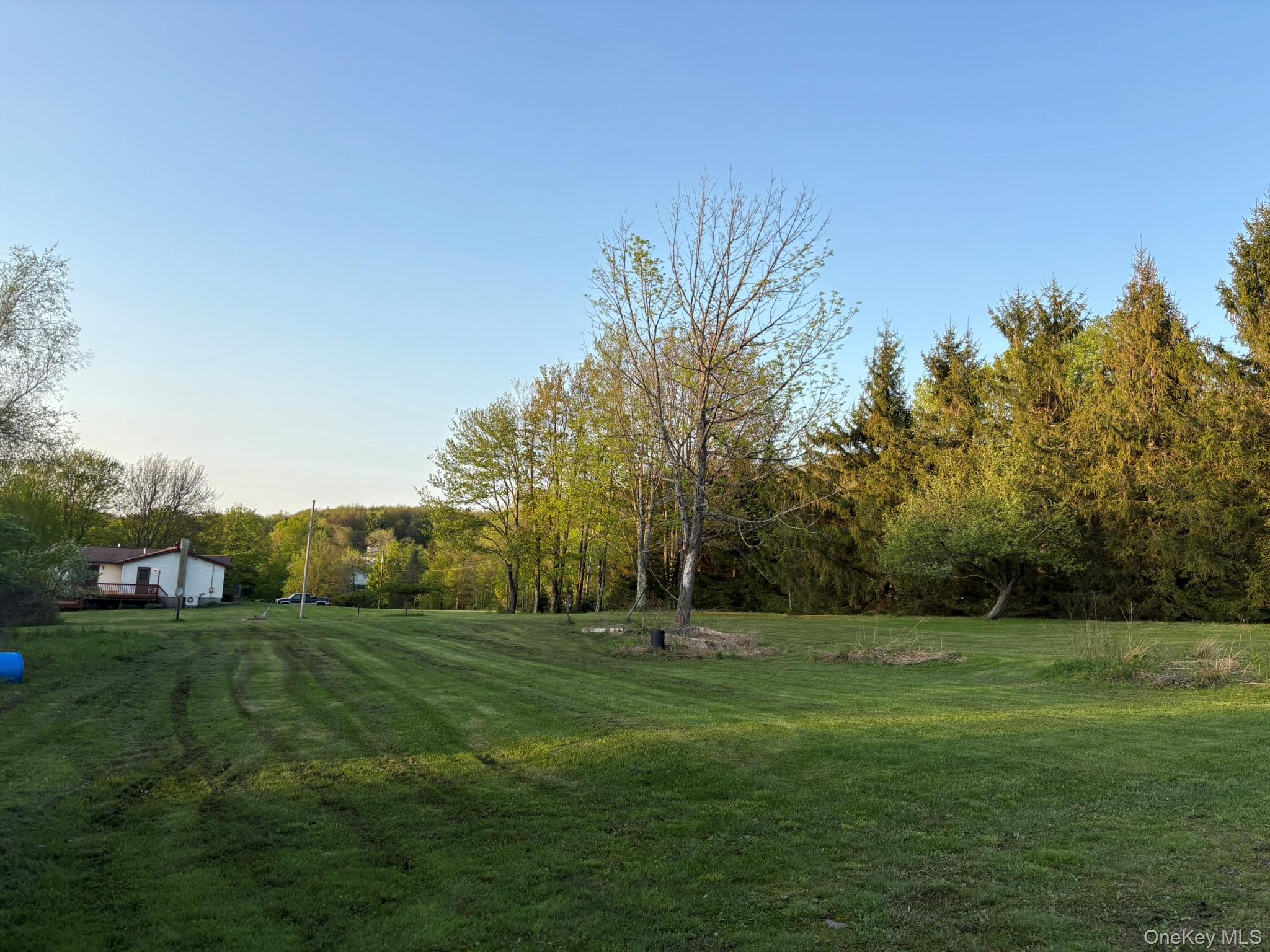 223 Wade, Liberty, NY 12754