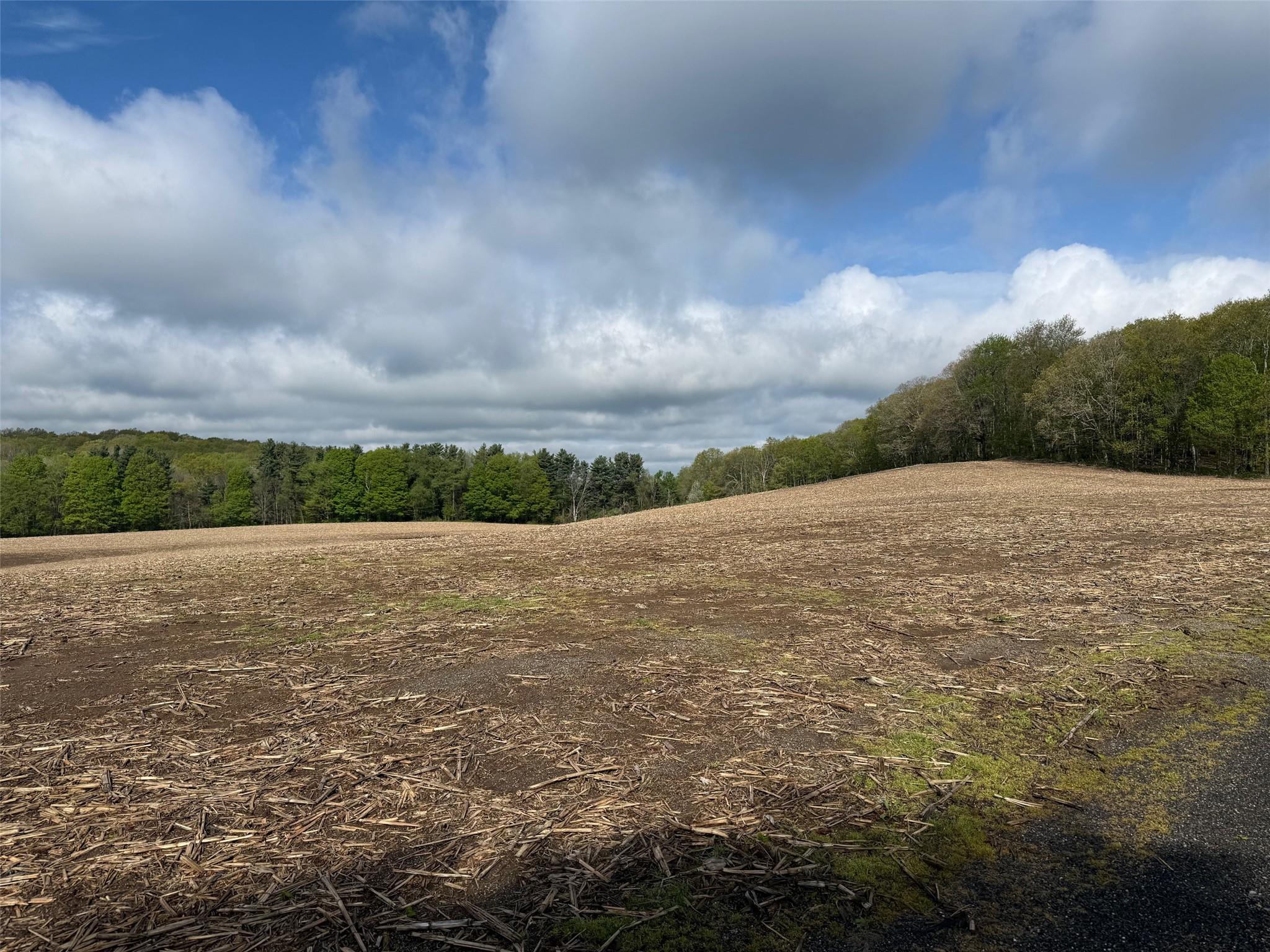 Skunks Misery Road, Millerton, NY 12546