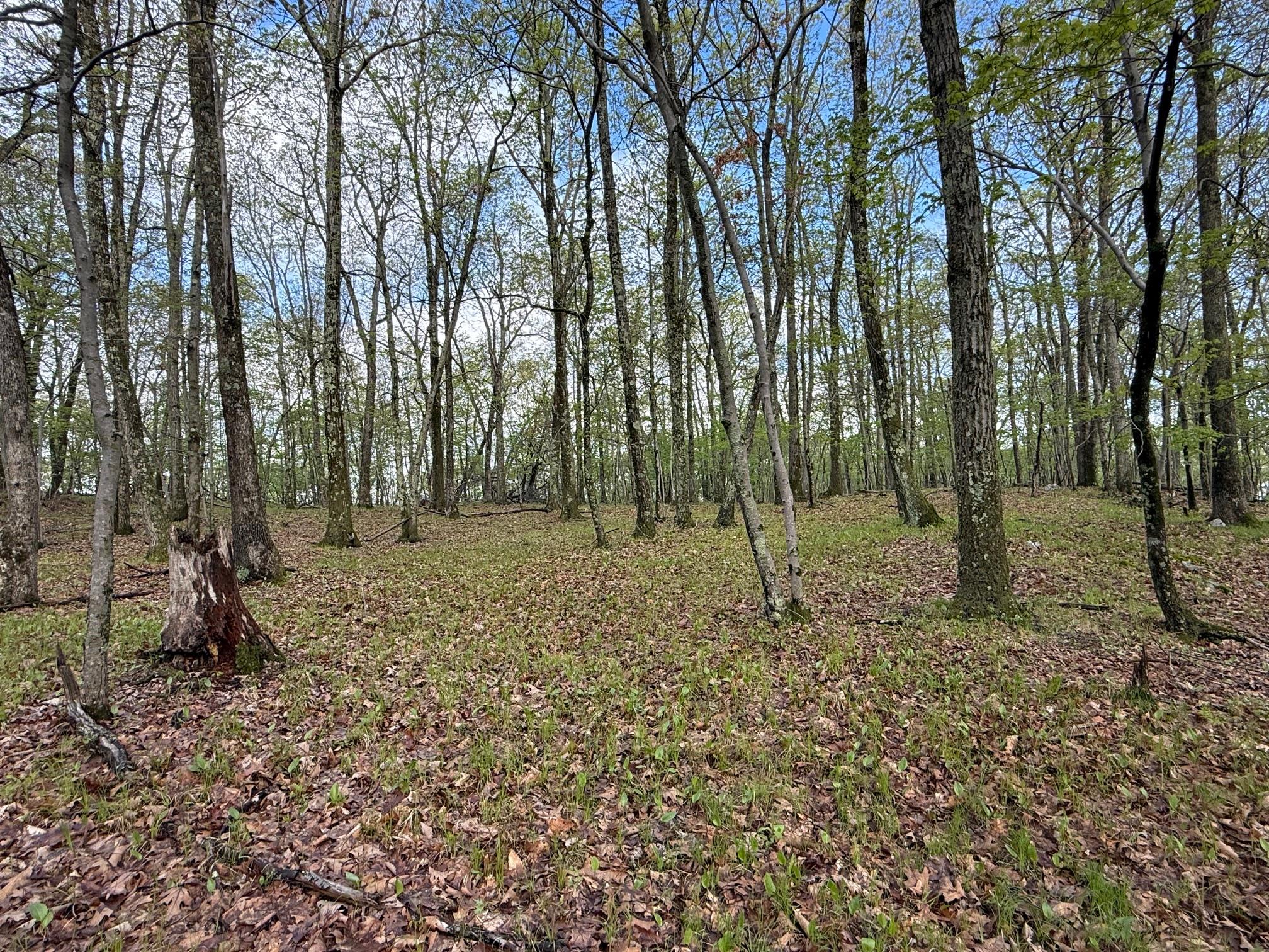 Skunks Misery Road, Millerton, NY 12546