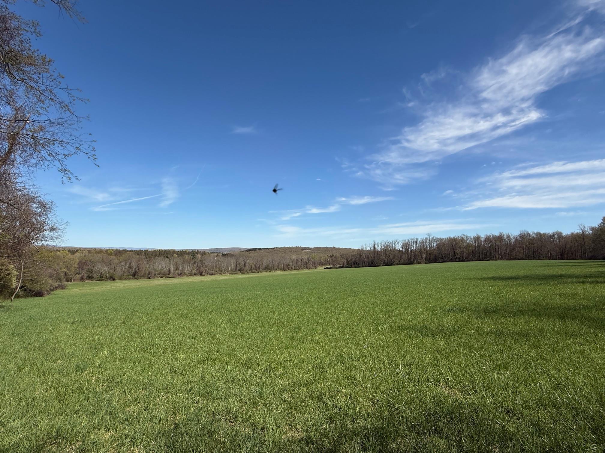 Skunks Misery Road, Millerton, NY 12546