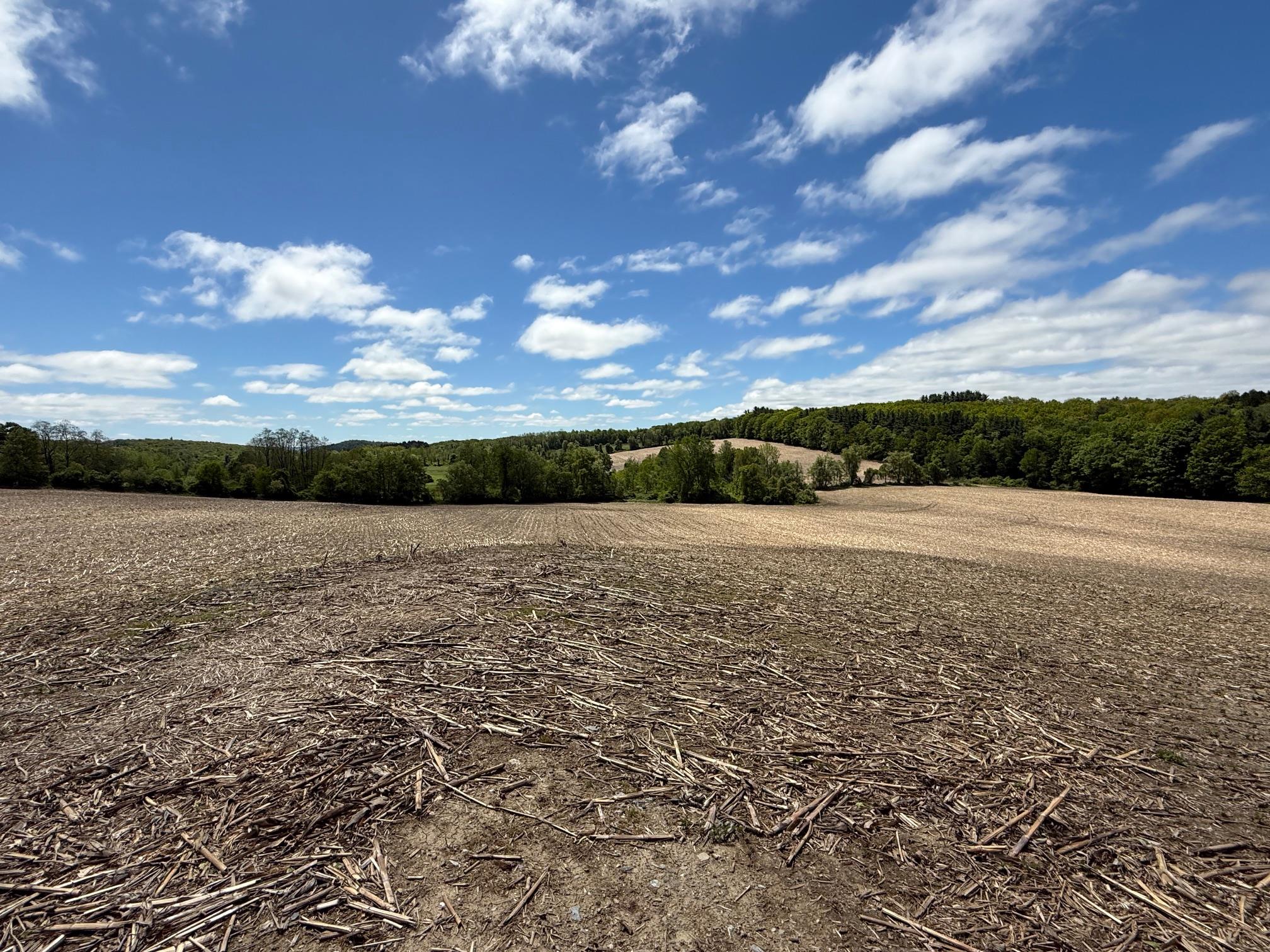 Skunks Misery Road, Millerton, NY 12546