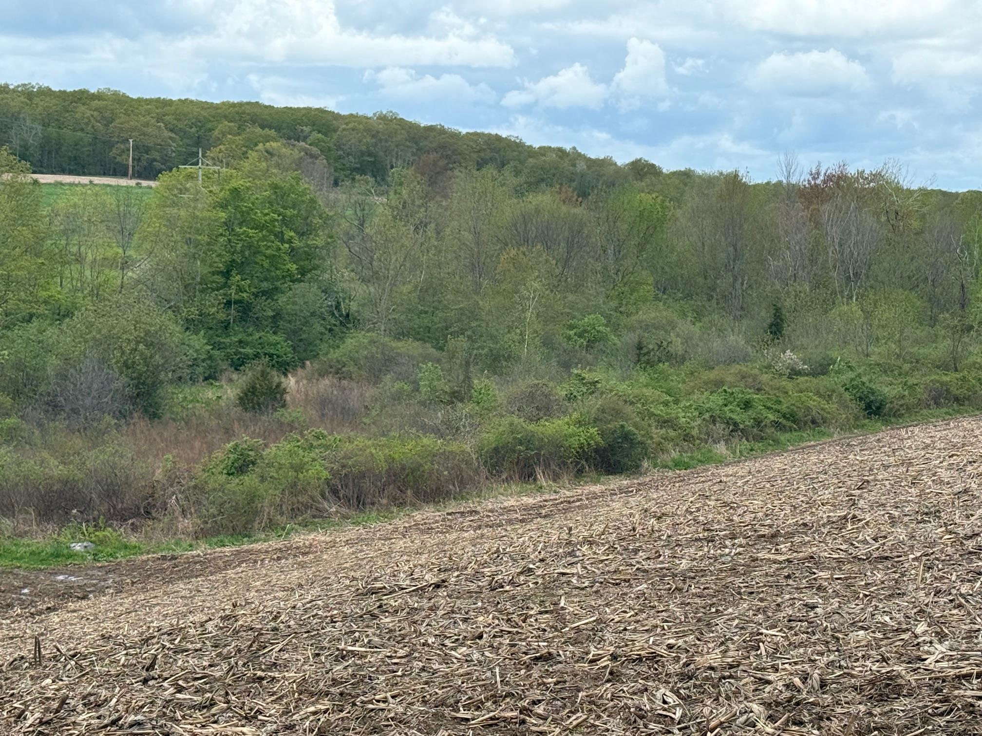 Skunks Misery Road, Millerton, NY 12546