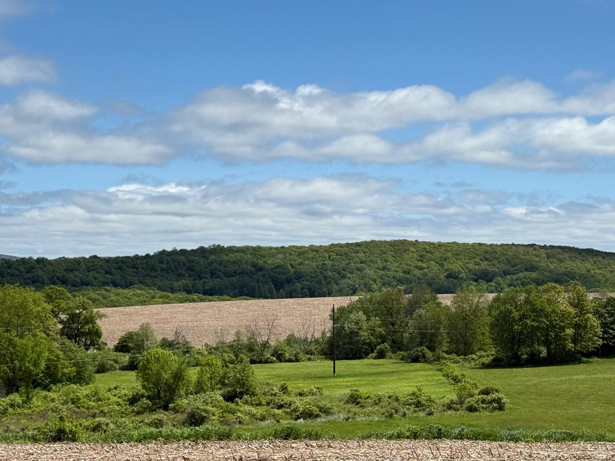 Skunks Misery Road, Millerton, NY 12546